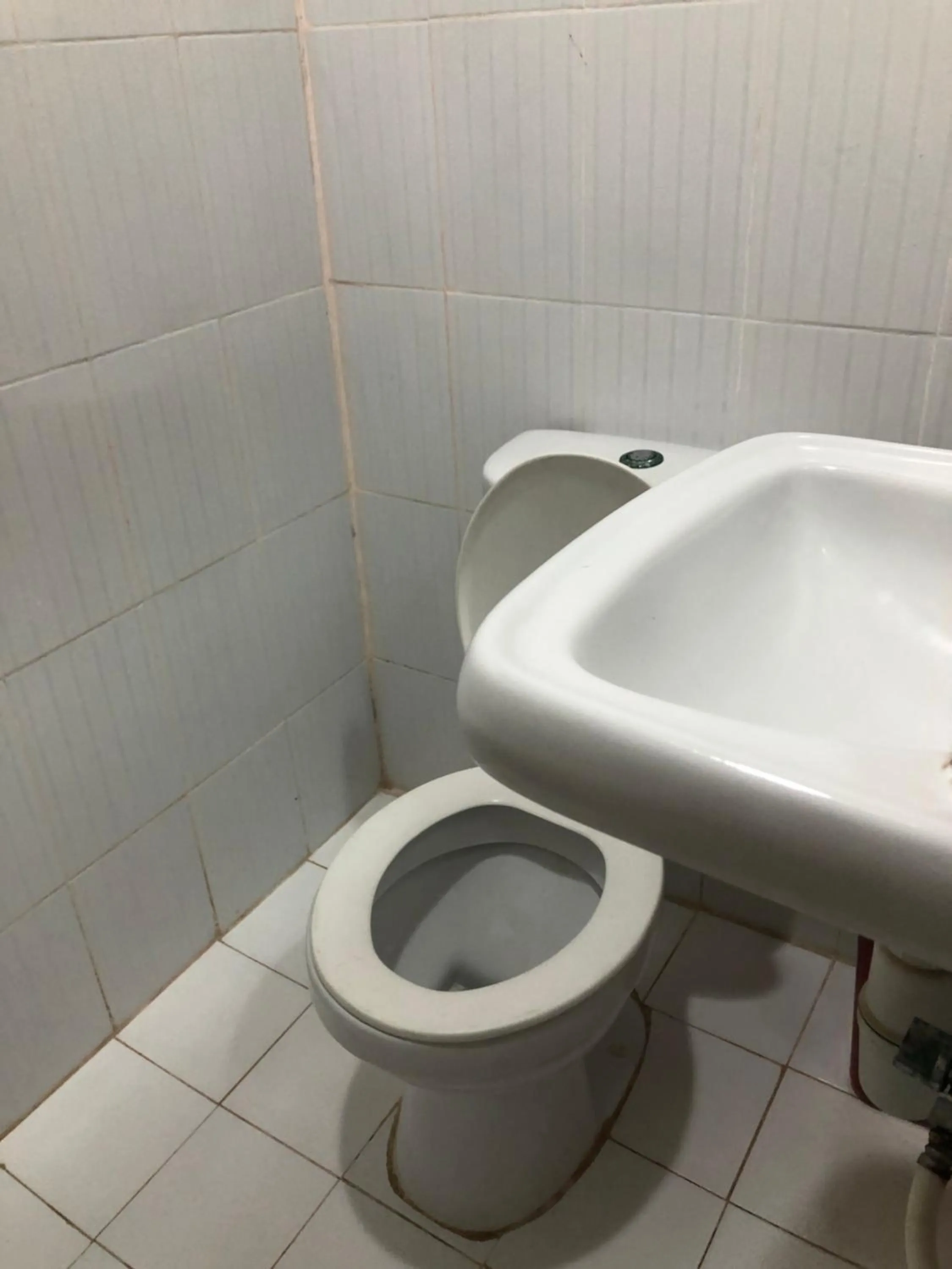 Edem Tourist Inn Malapascua