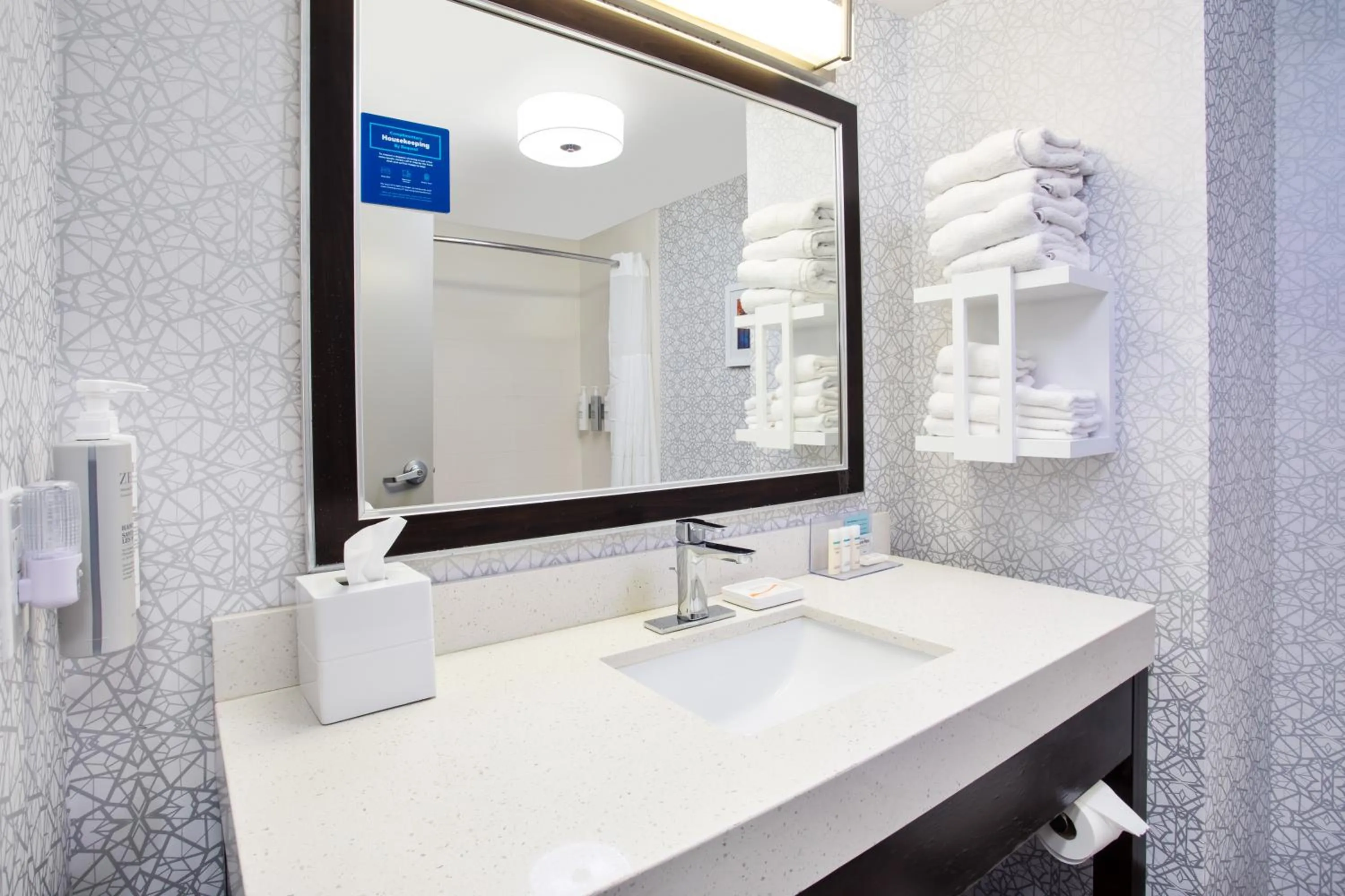 Bathroom in Hampton Inn & Suites Columbia/Southeast-Fort Jackson