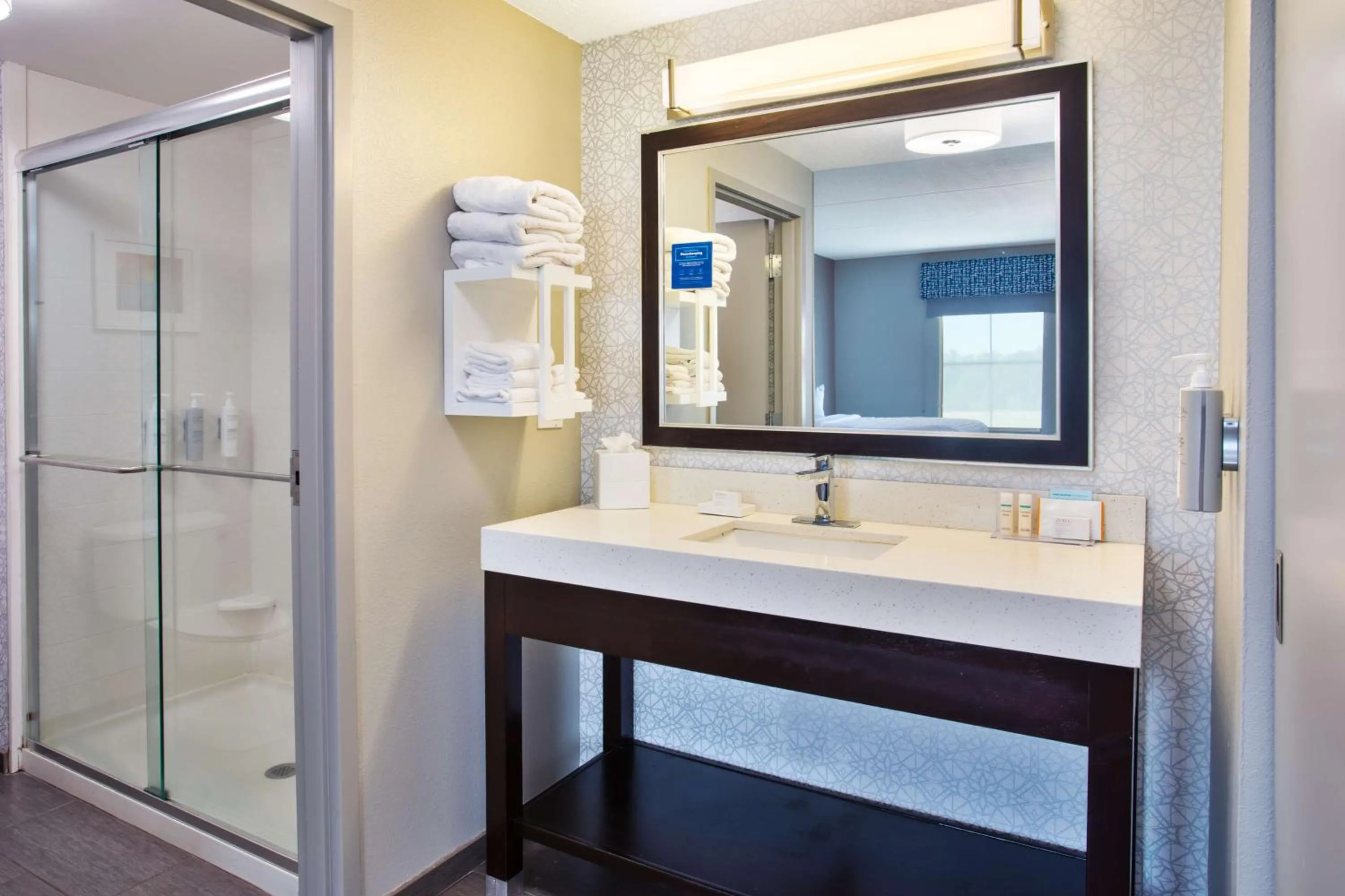Bathroom in Hampton Inn & Suites Columbia/Southeast-Fort Jackson
