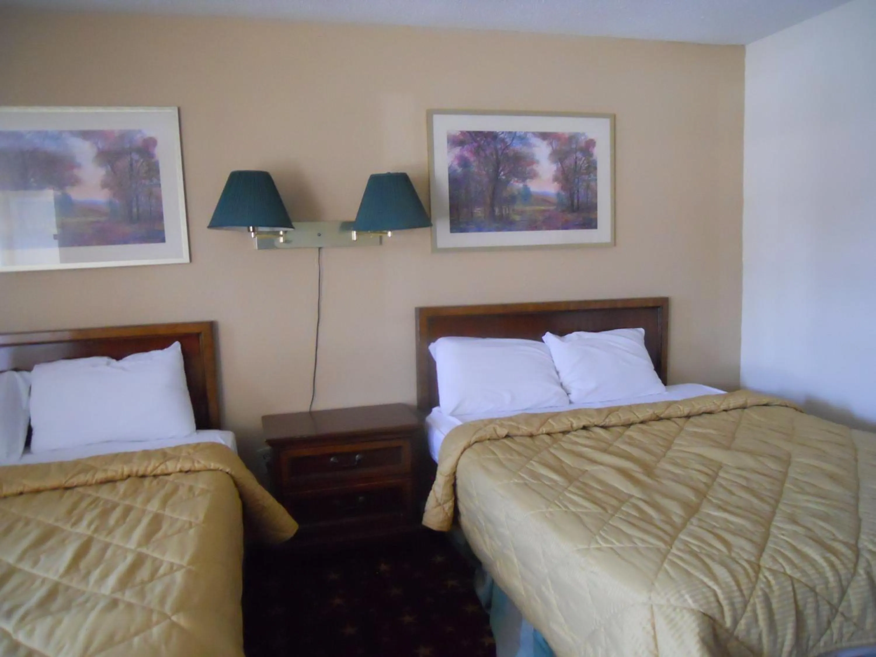 Bedroom, Bed in Cascades Motel - Chattanooga