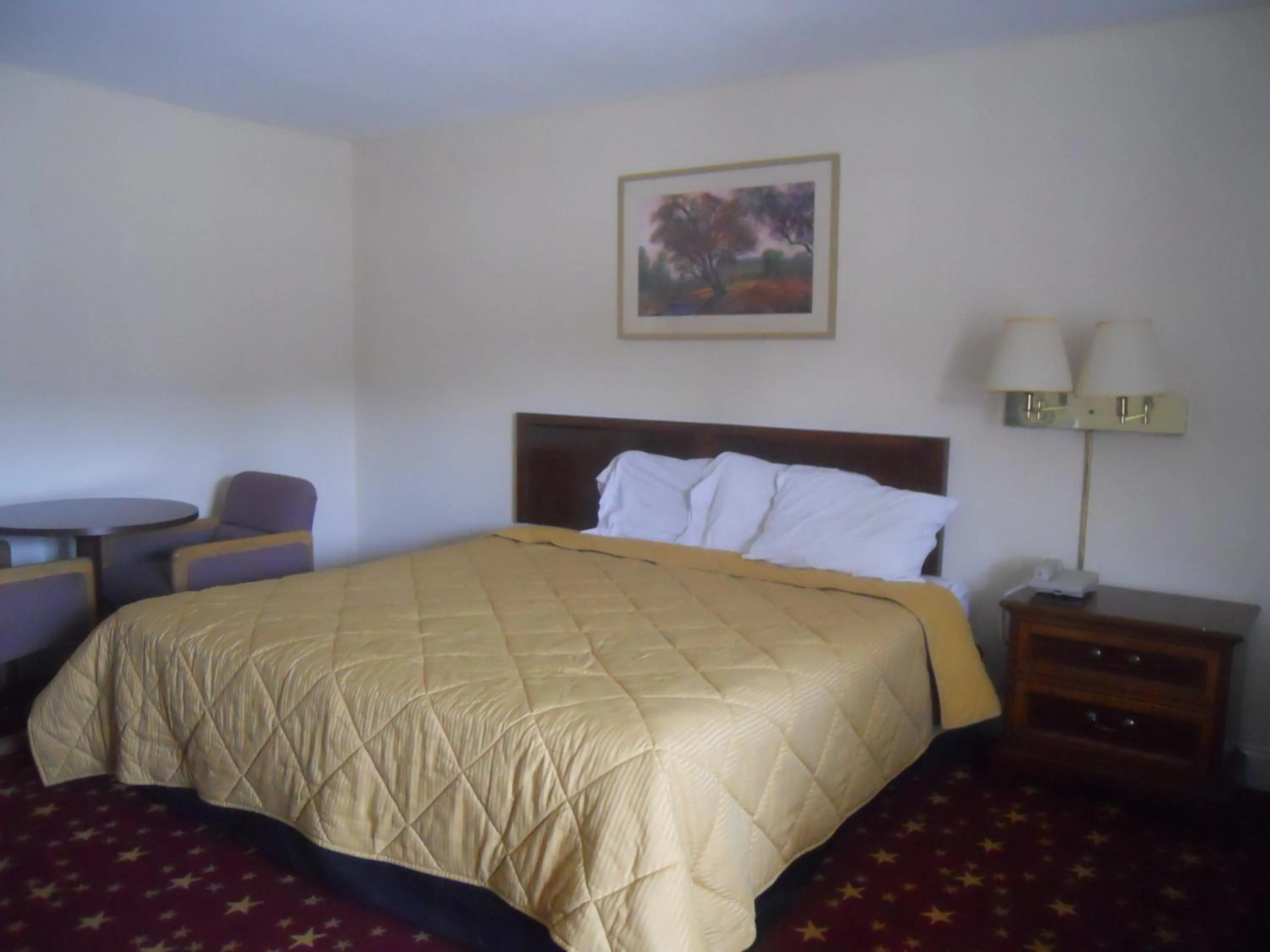 Bedroom, Bed in Cascades Motel - Chattanooga