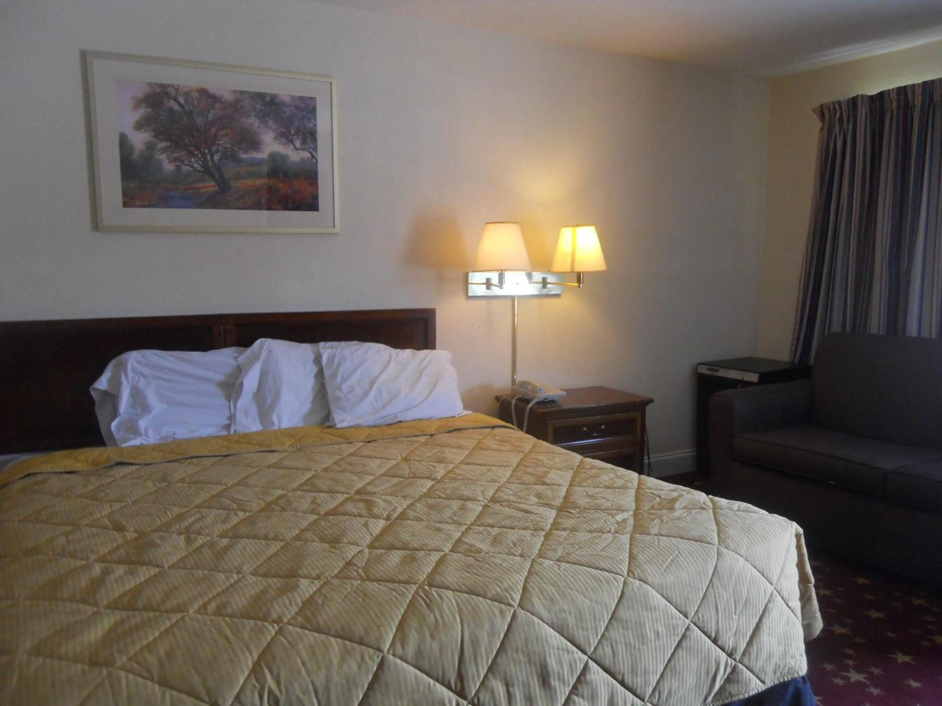 Bedroom, Bed in Cascades Motel - Chattanooga