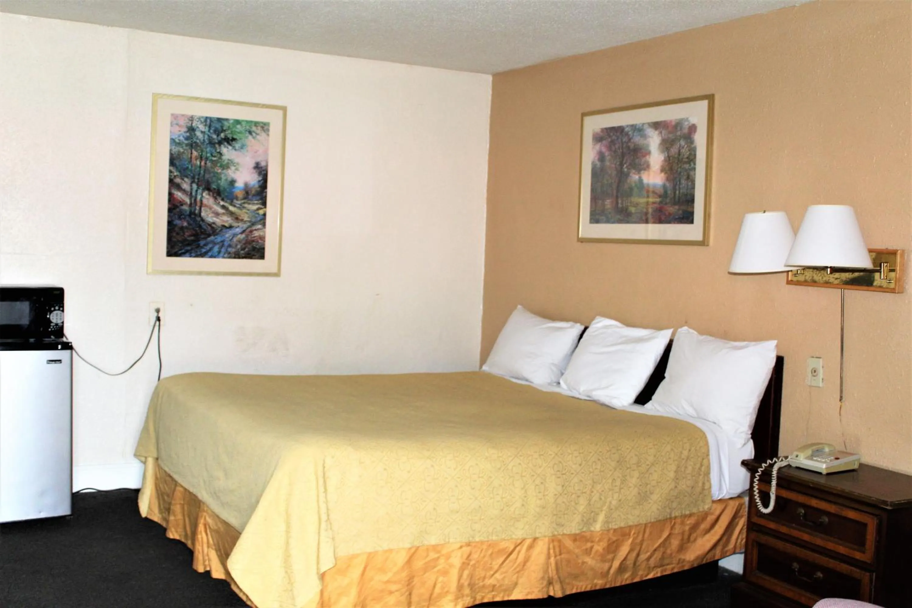 Bed in Cascades Motel - Chattanooga