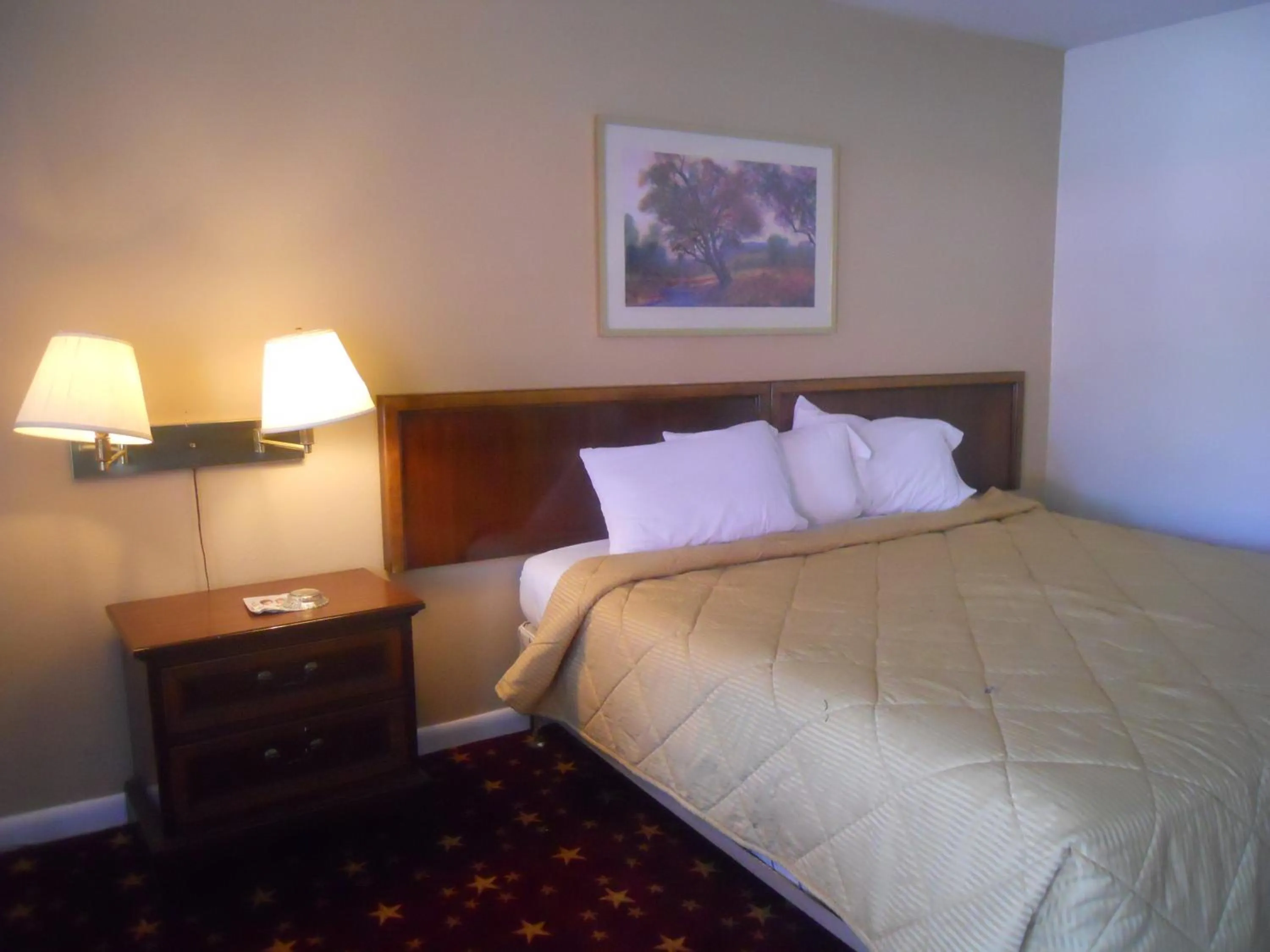 Bedroom, Bed in Cascades Motel - Chattanooga