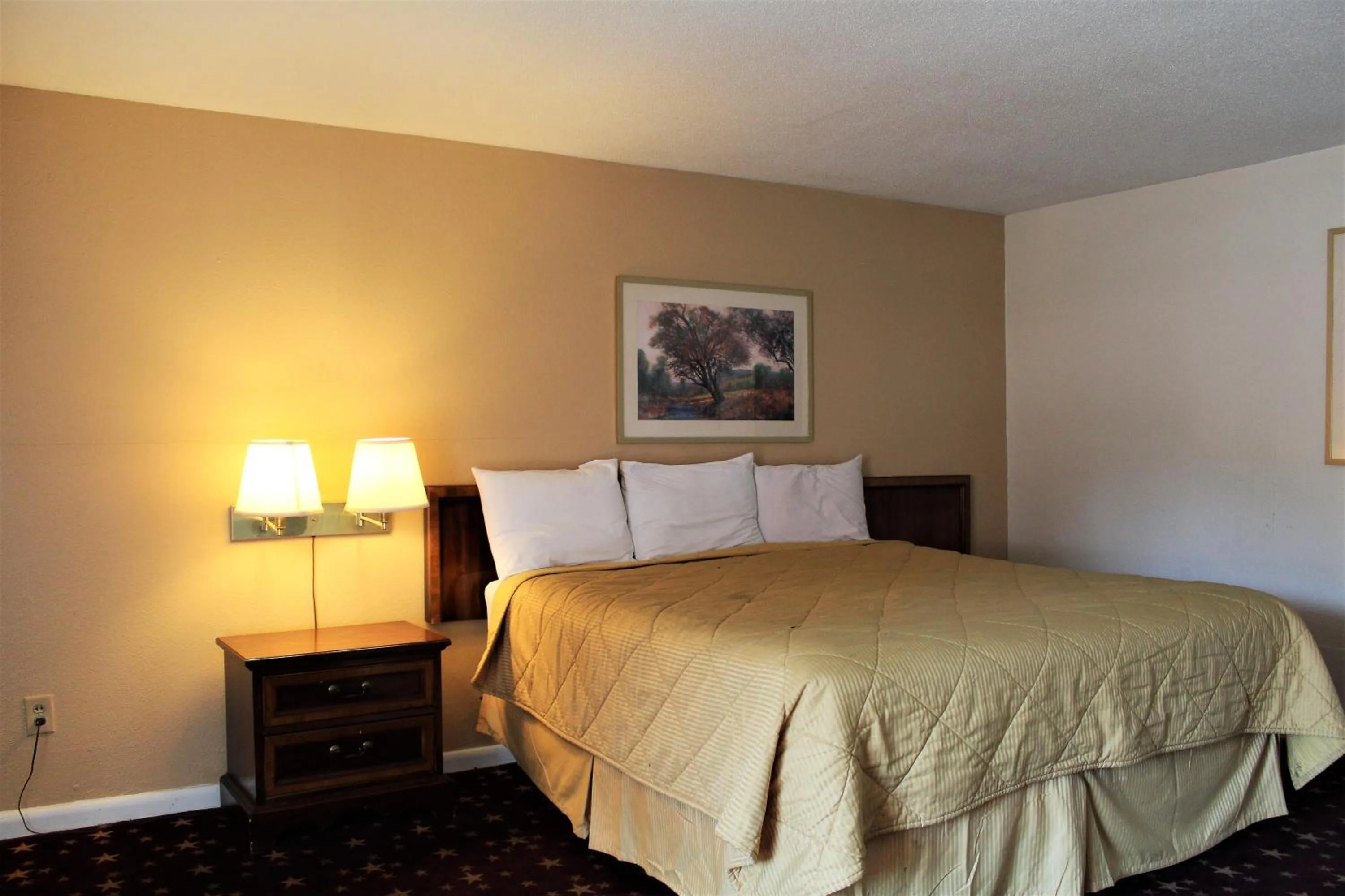 Bed in Cascades Motel - Chattanooga