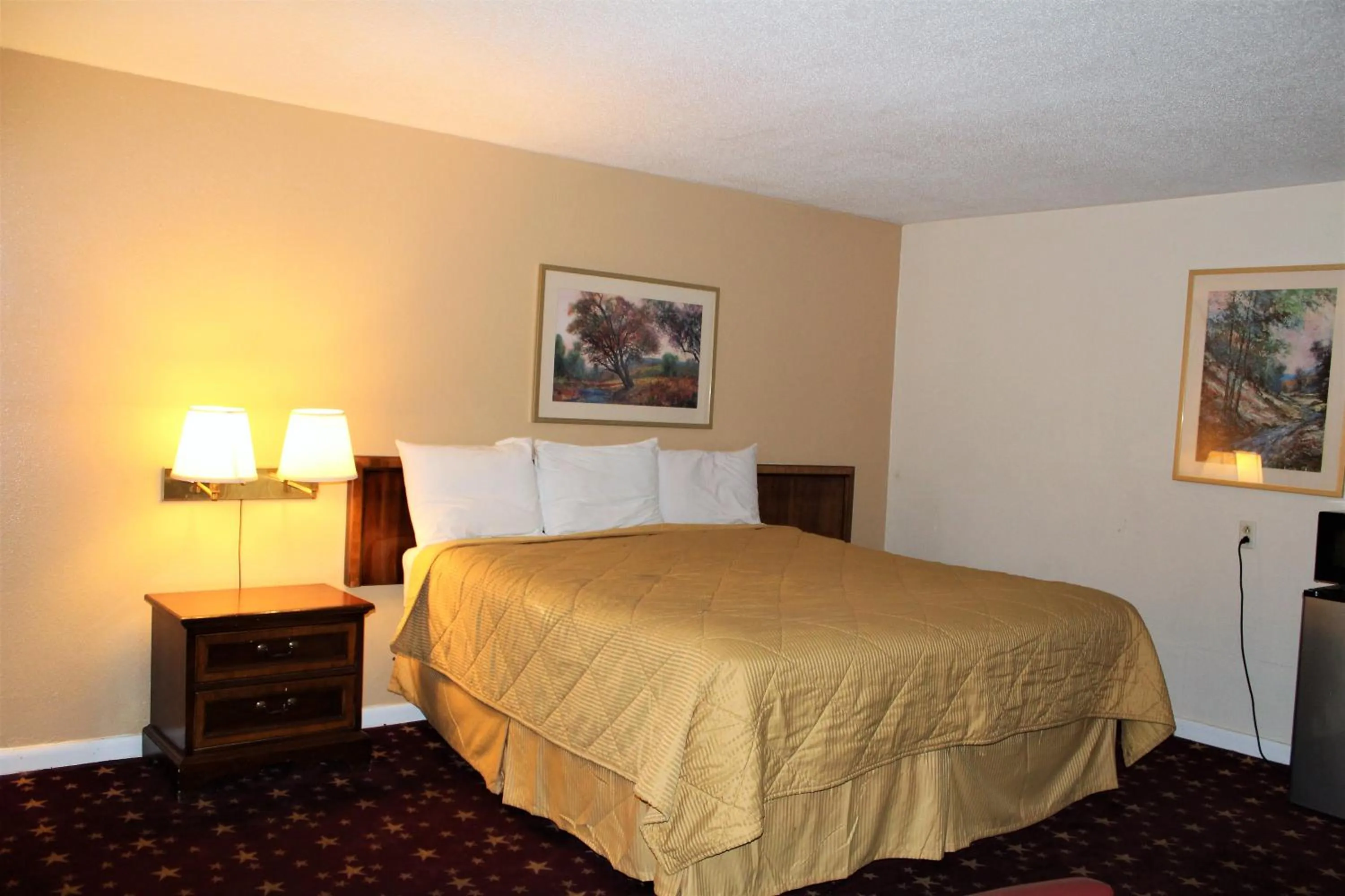 Bed in Cascades Motel - Chattanooga