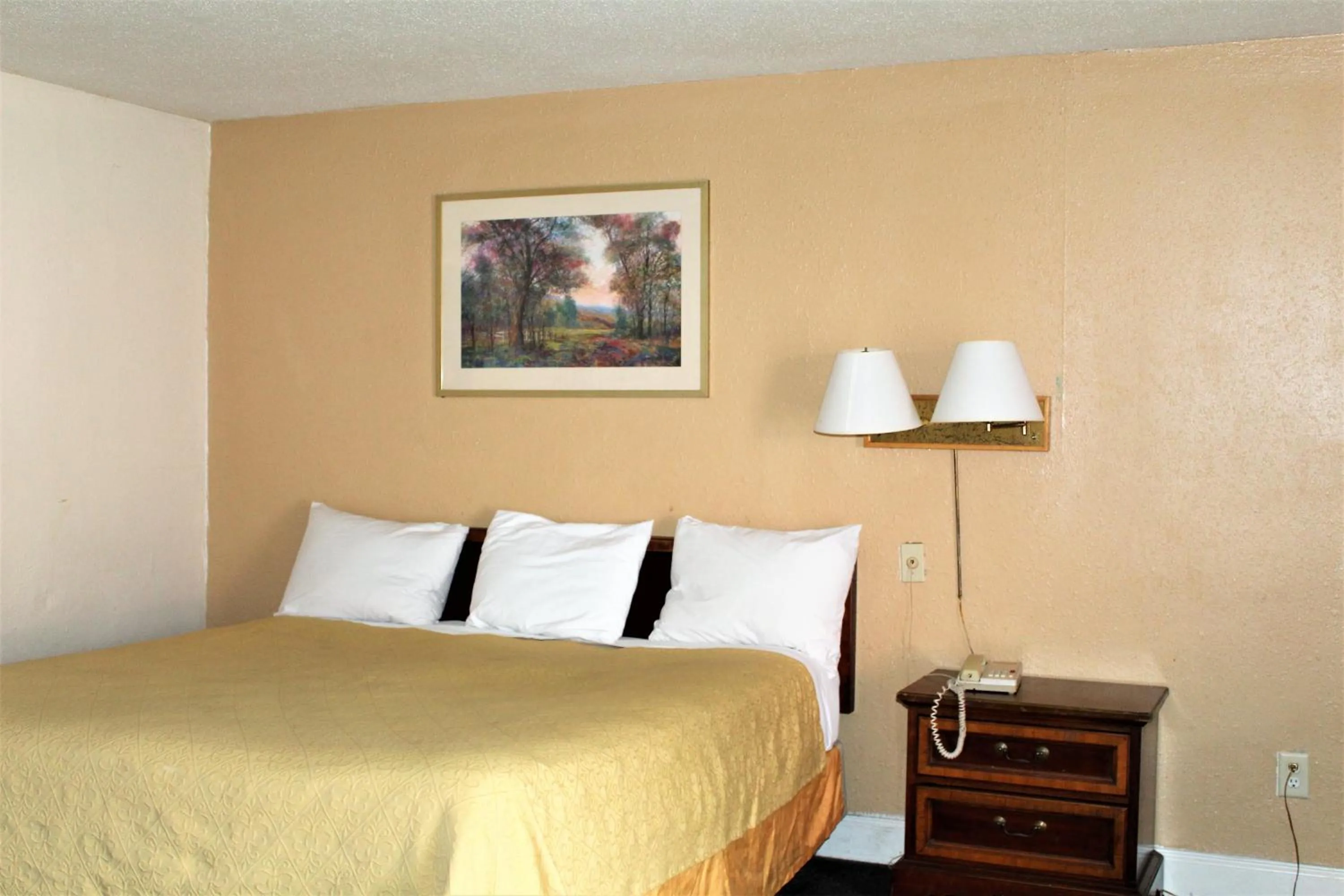 Bed in Cascades Motel - Chattanooga