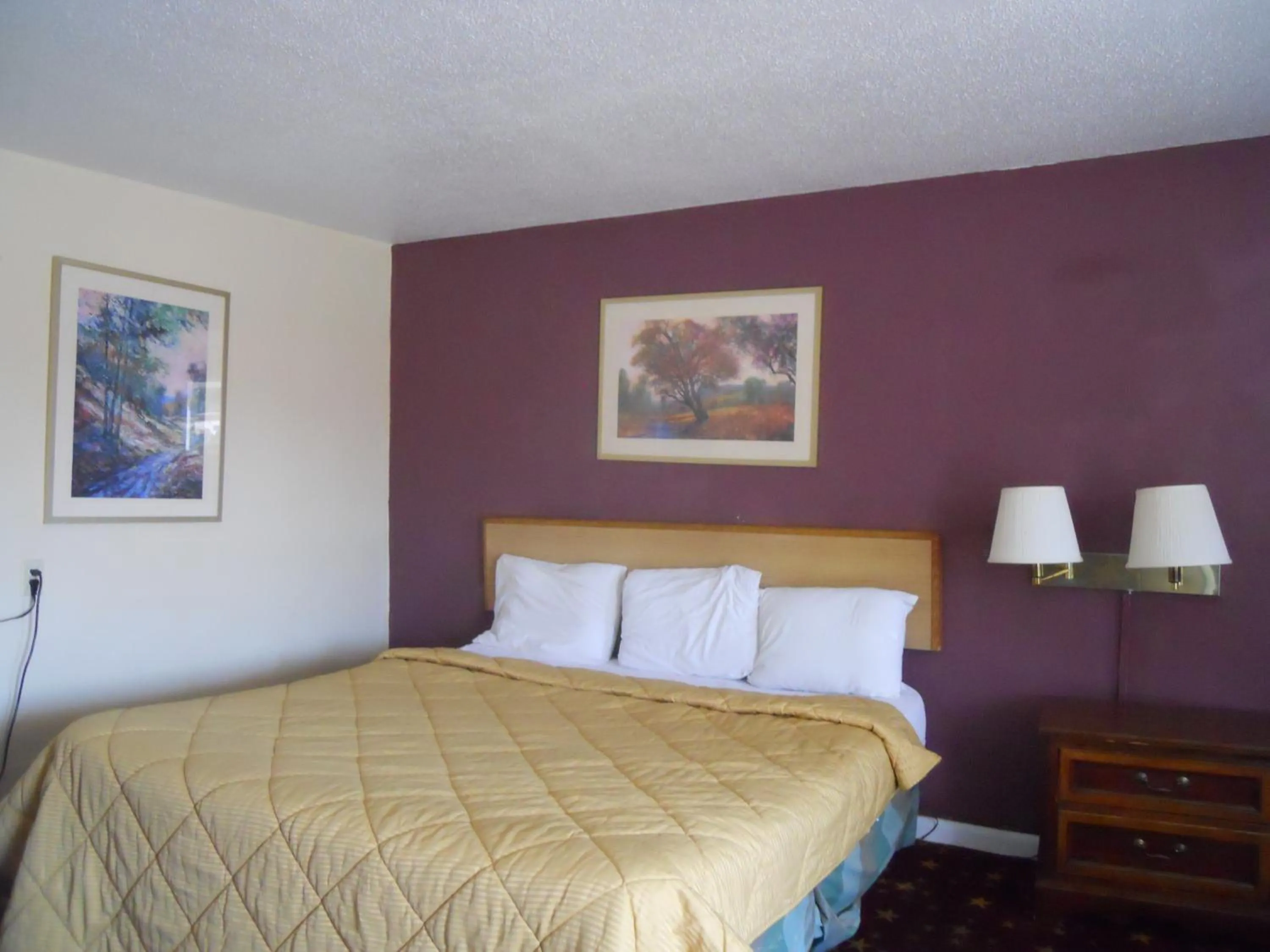 Bedroom, Bed in Cascades Motel - Chattanooga