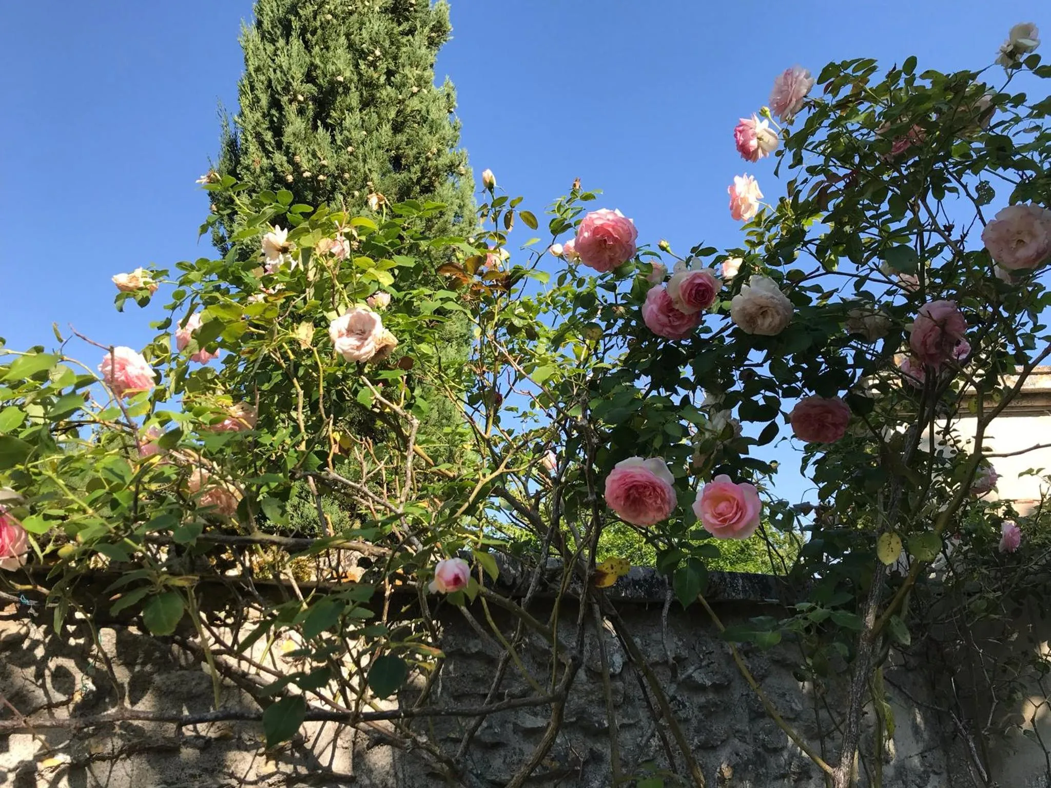 Garden in La Laiterie du Logis