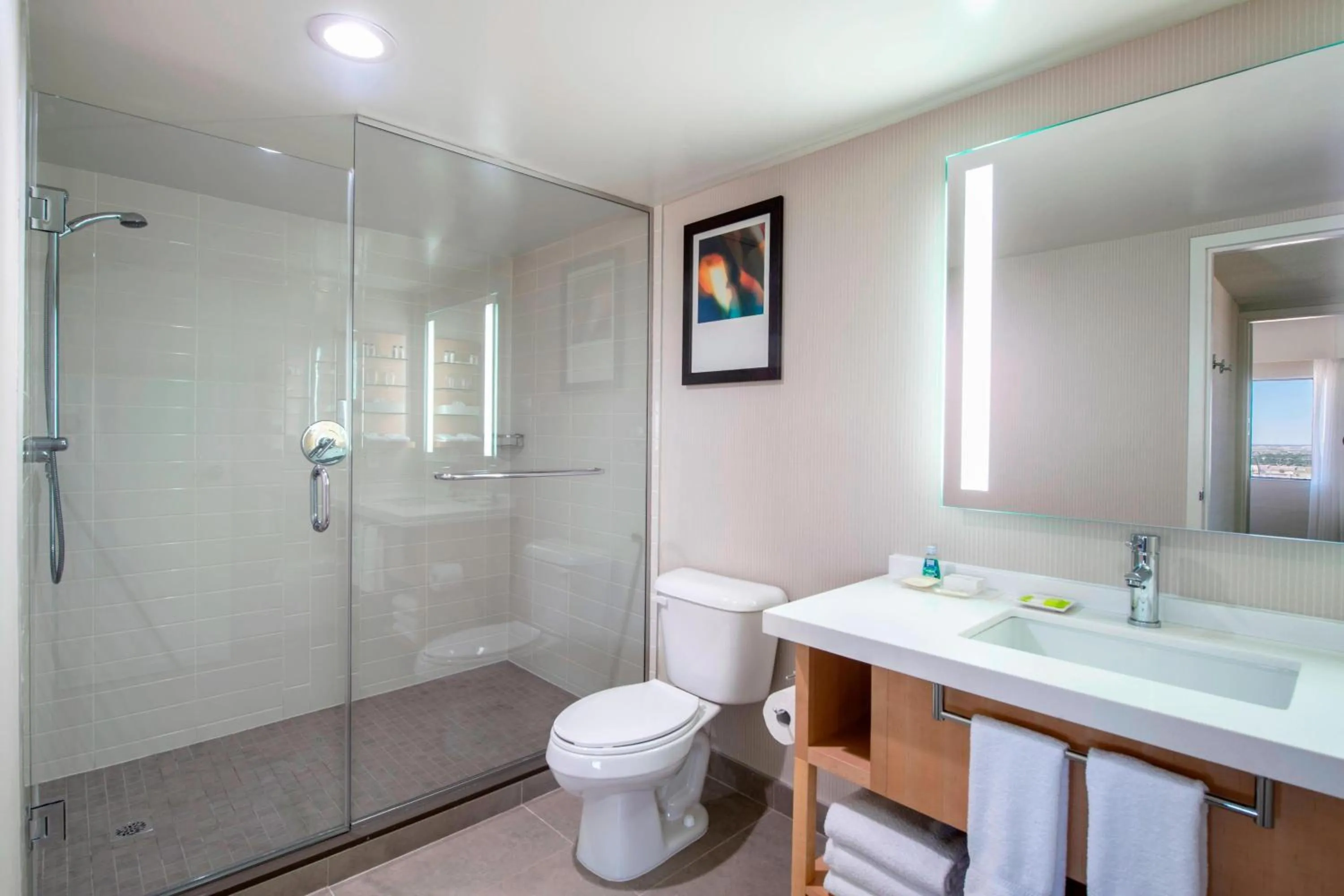 Bathroom in Delta Hotels by Marriott Regina