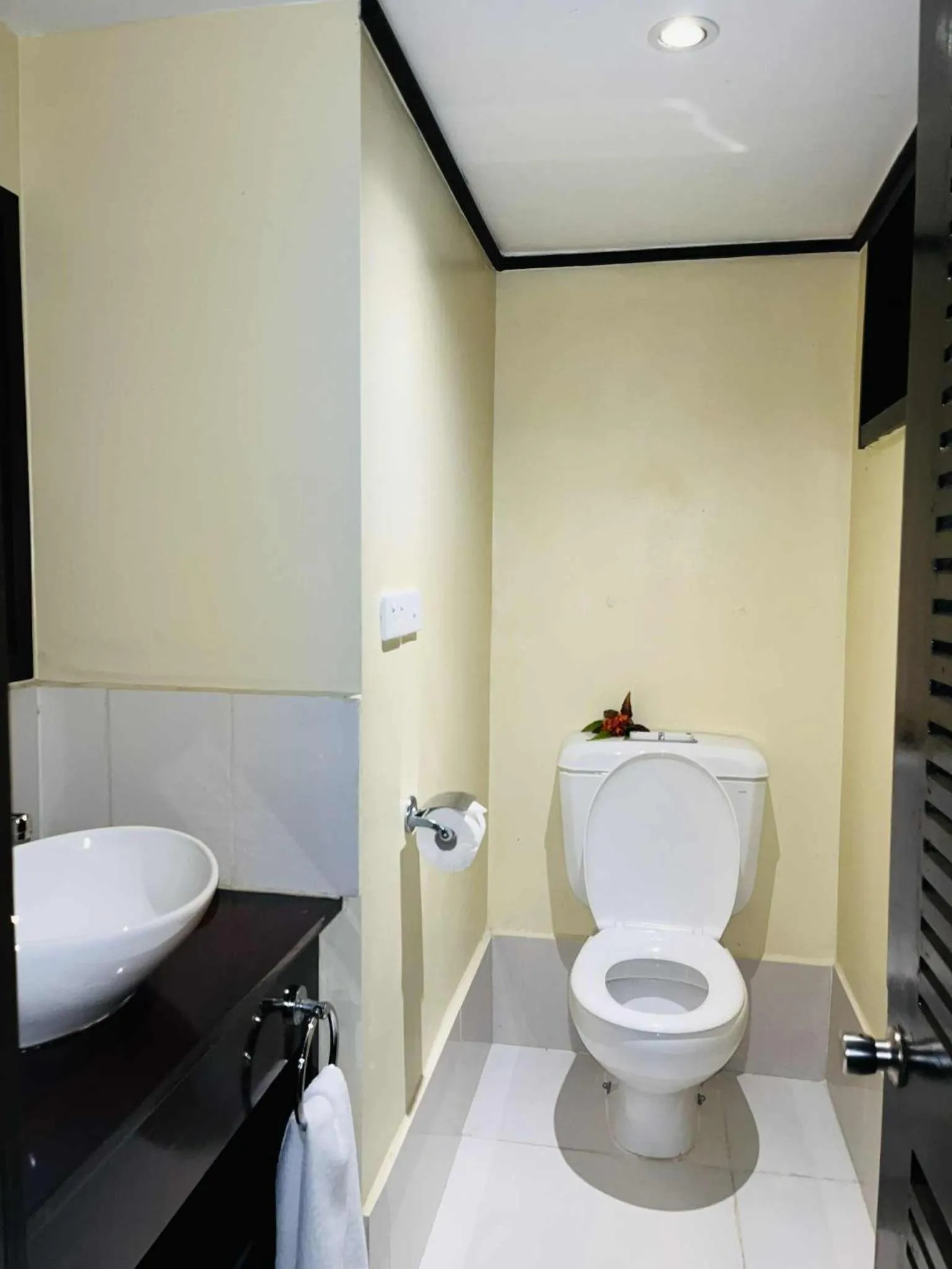 Toilet in Mana Island Resort & Spa - Fiji