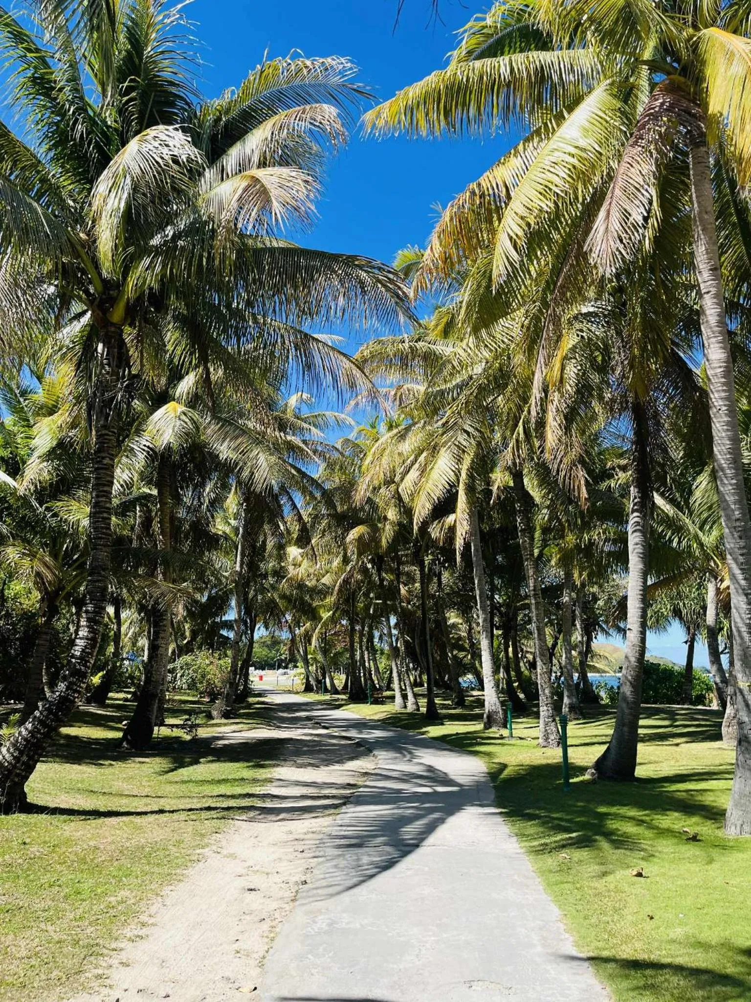 View (from property/room) in Mana Island Resort & Spa - Fiji