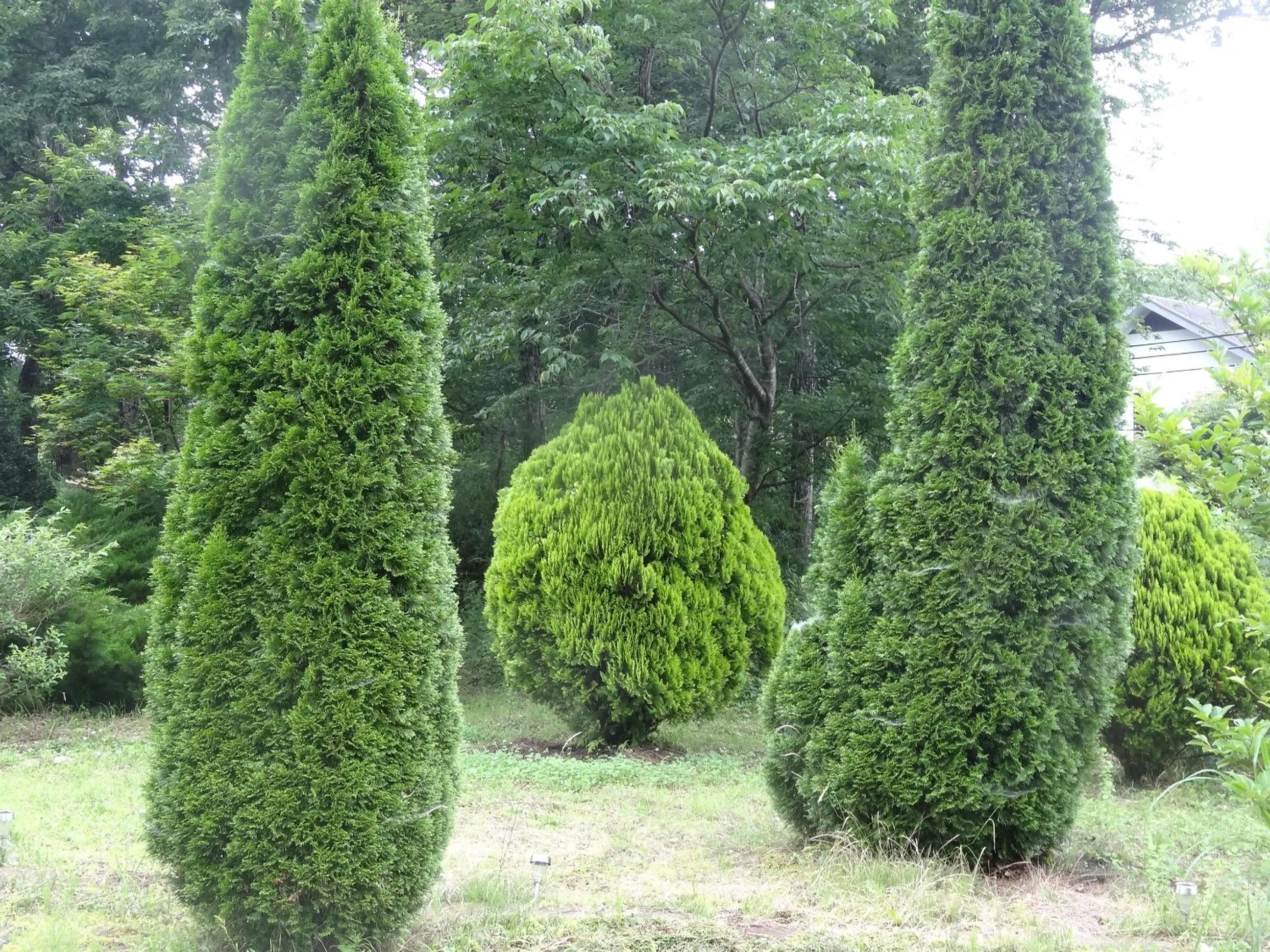 Garden in Gasthof Arutany