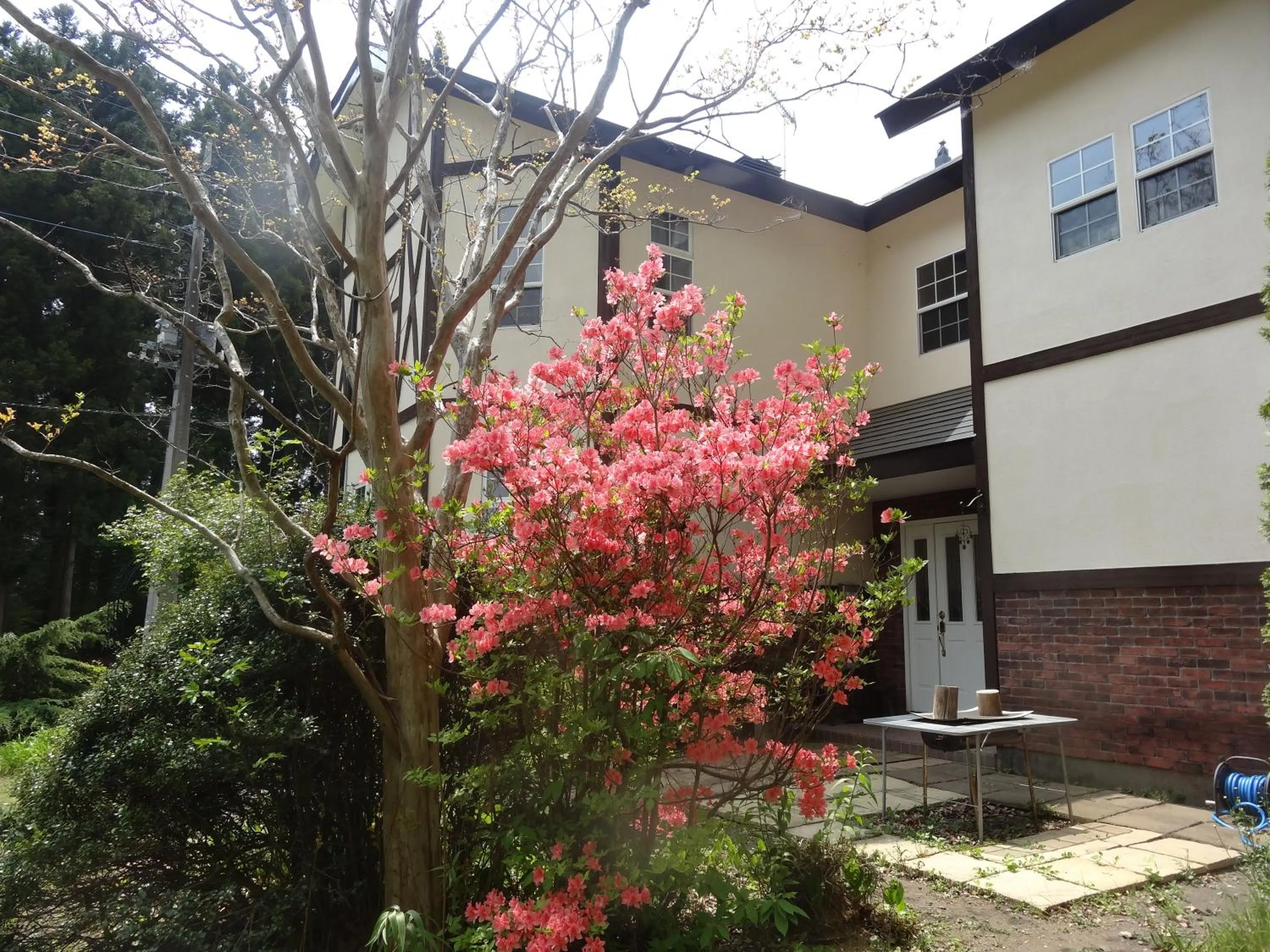 Facade/entrance in Gasthof Arutany