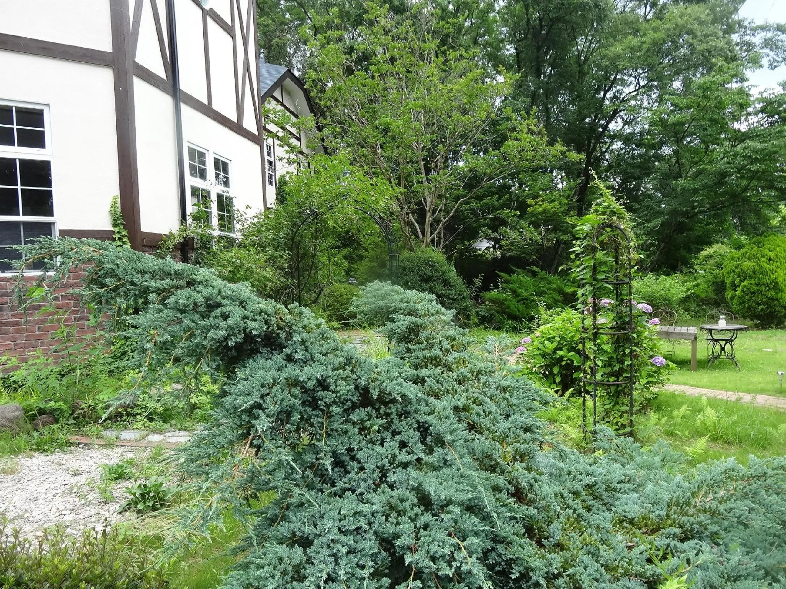 Garden in Gasthof Arutany