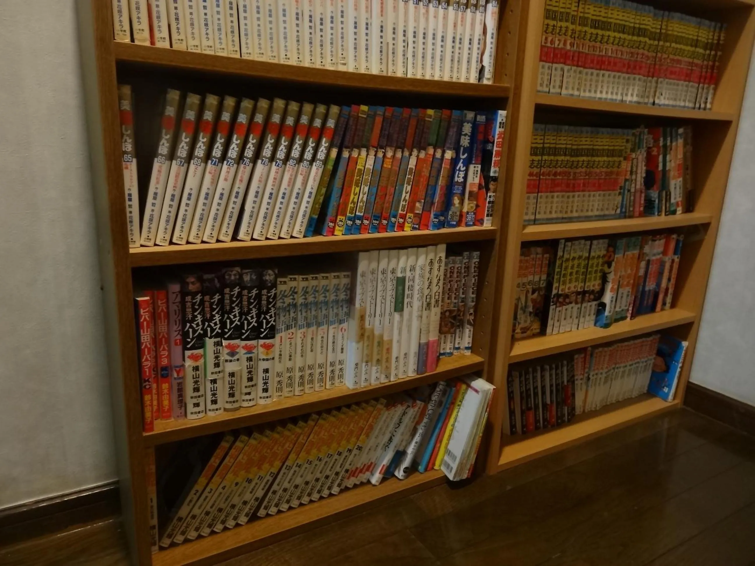 Library in Gasthof Arutany