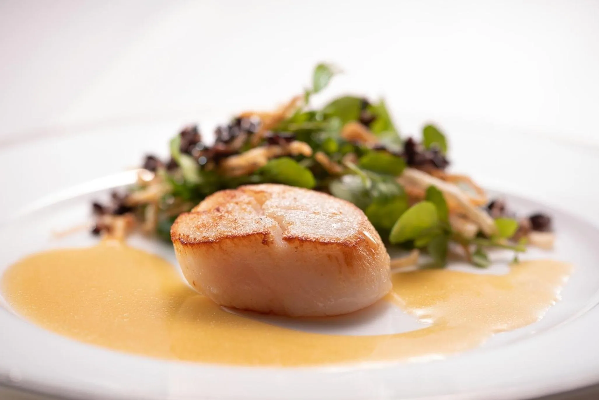 Restaurant/places to eat in Kamikochi Hotel Shirakabaso