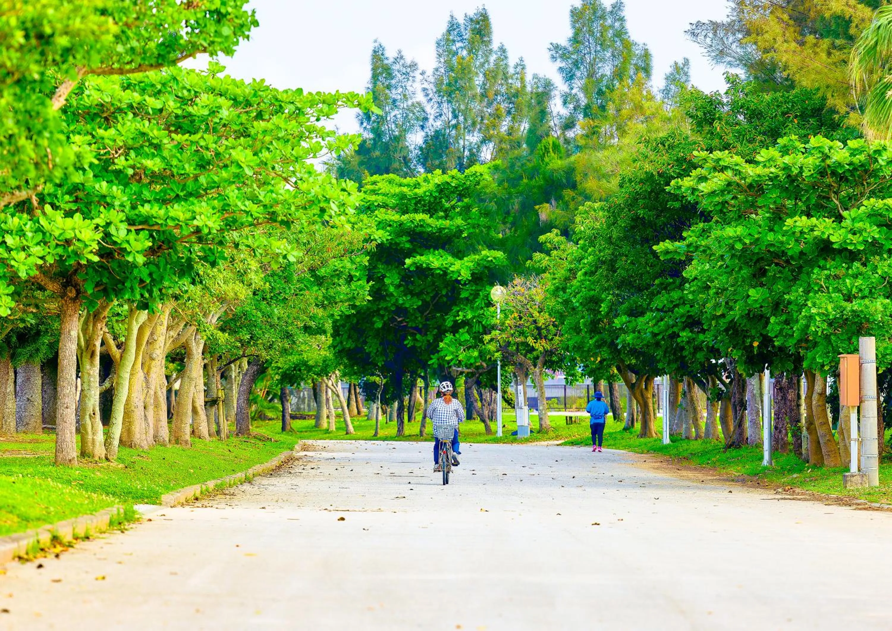 Off site in Mercure Okinawa Naha