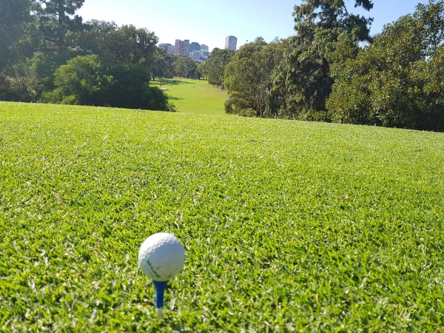 Day in Greenways Apartments