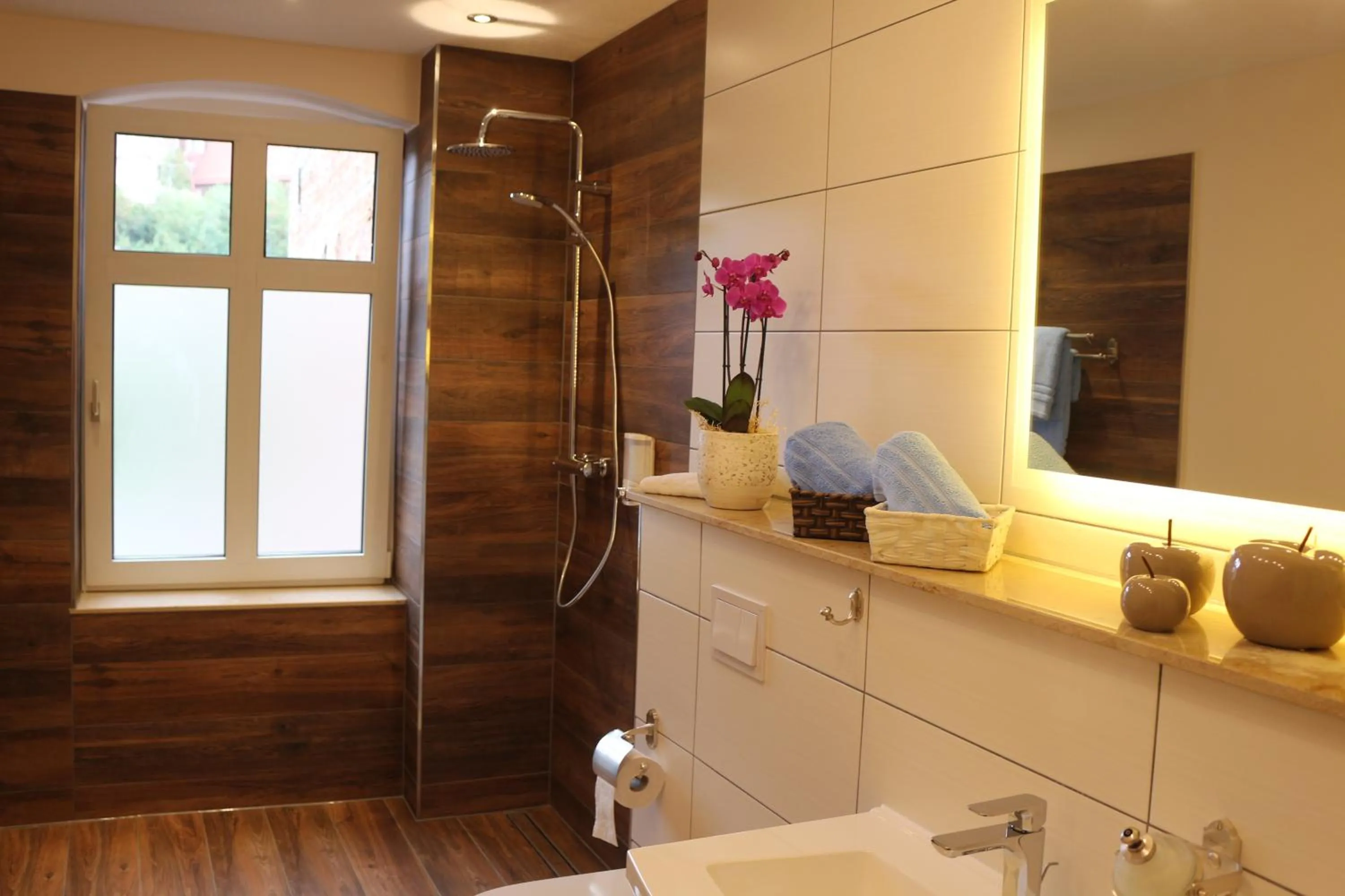 Shower in Dompanorama- Luxuriöse FeWo