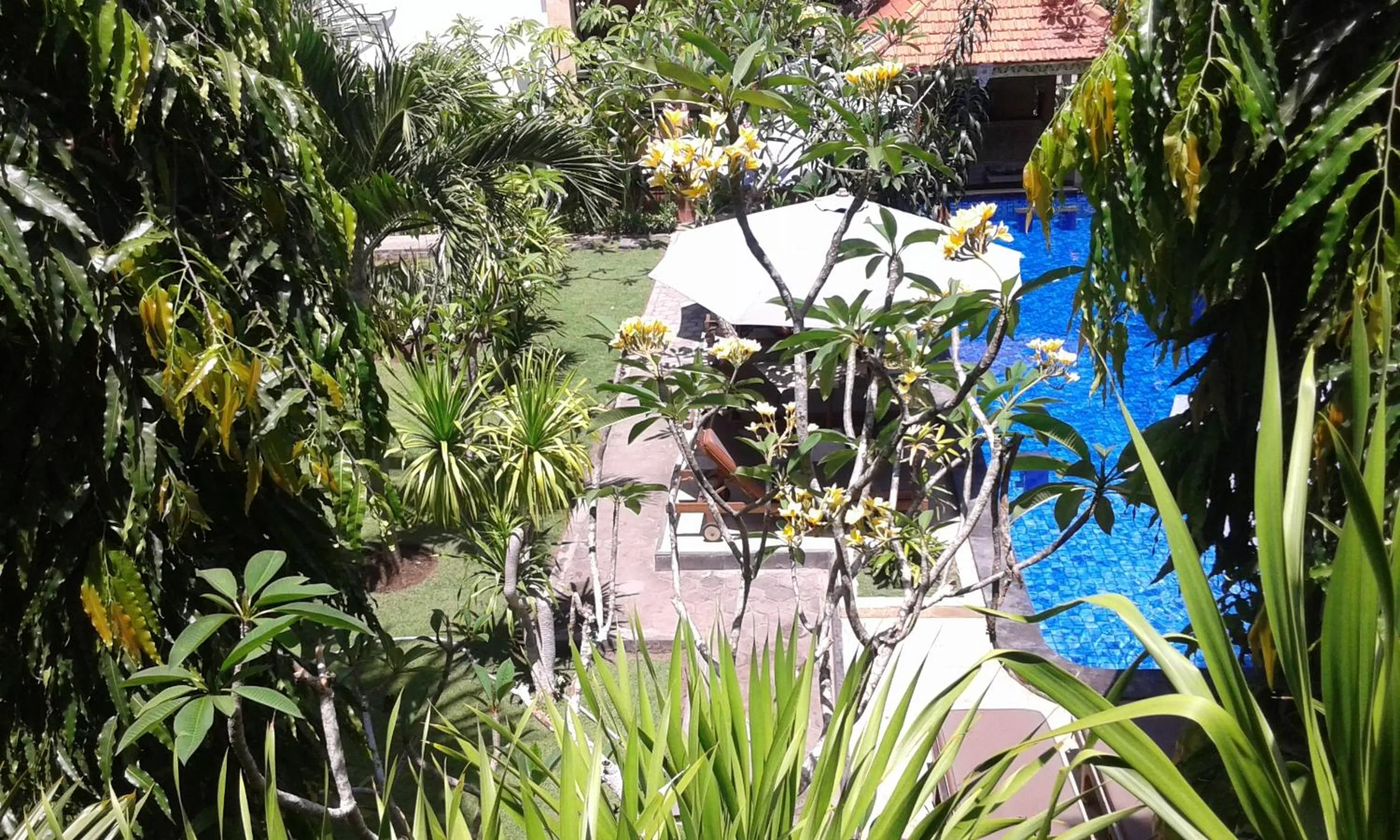 Shopping Area in Nitya Home Stay Lembongan