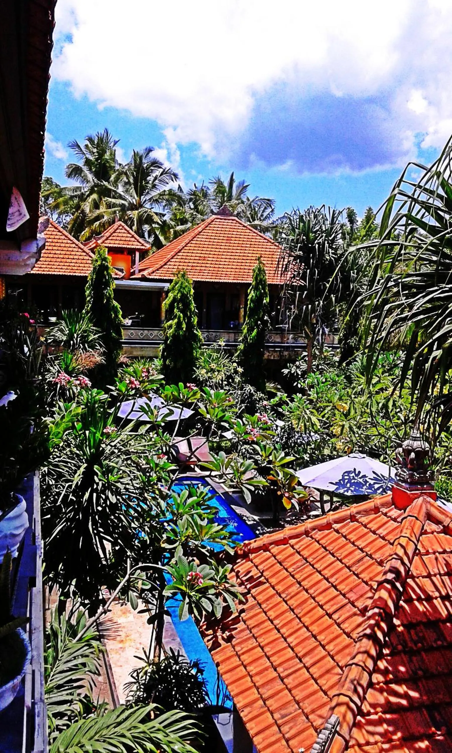 Other in Nitya Home Stay Lembongan