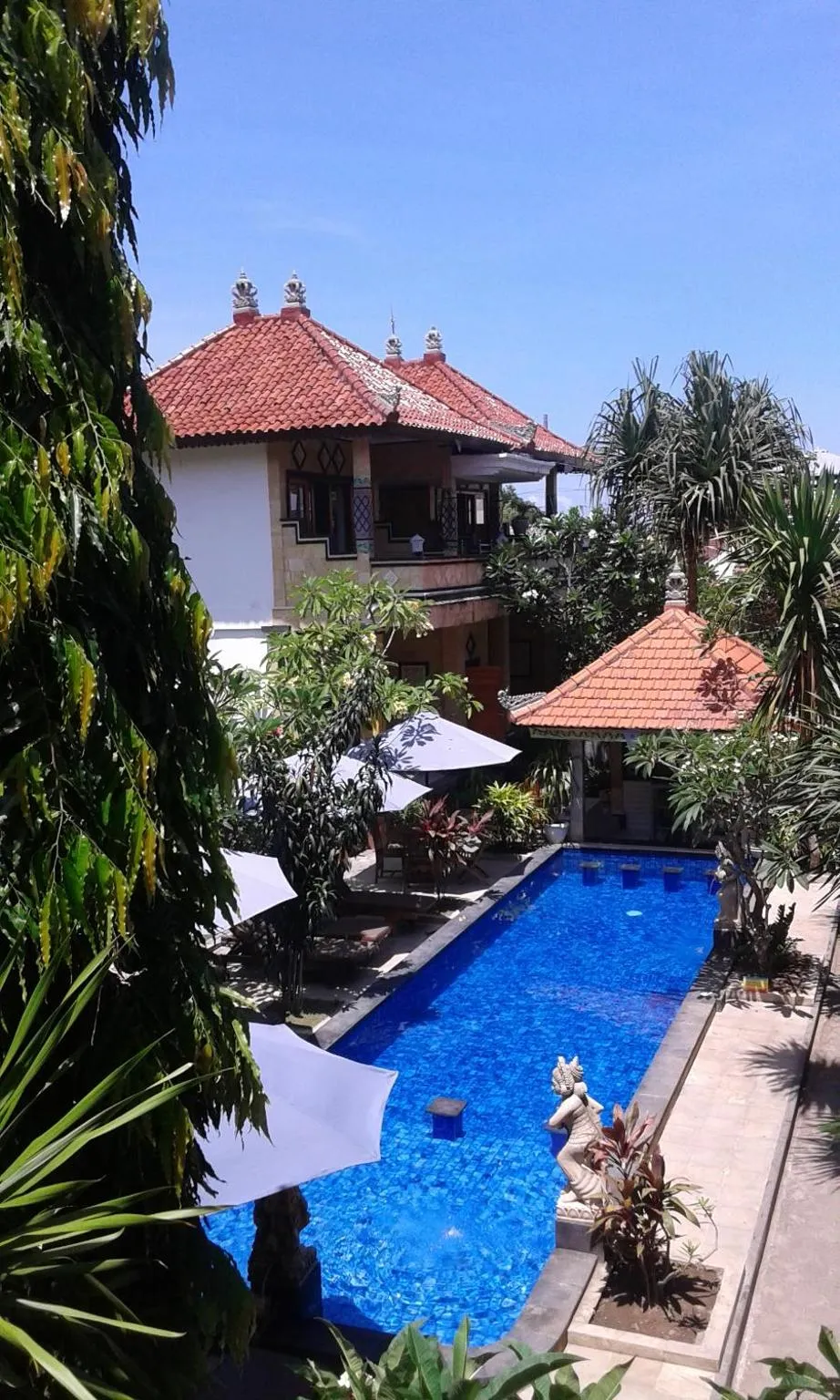 Pool view in Nitya Home Stay Lembongan