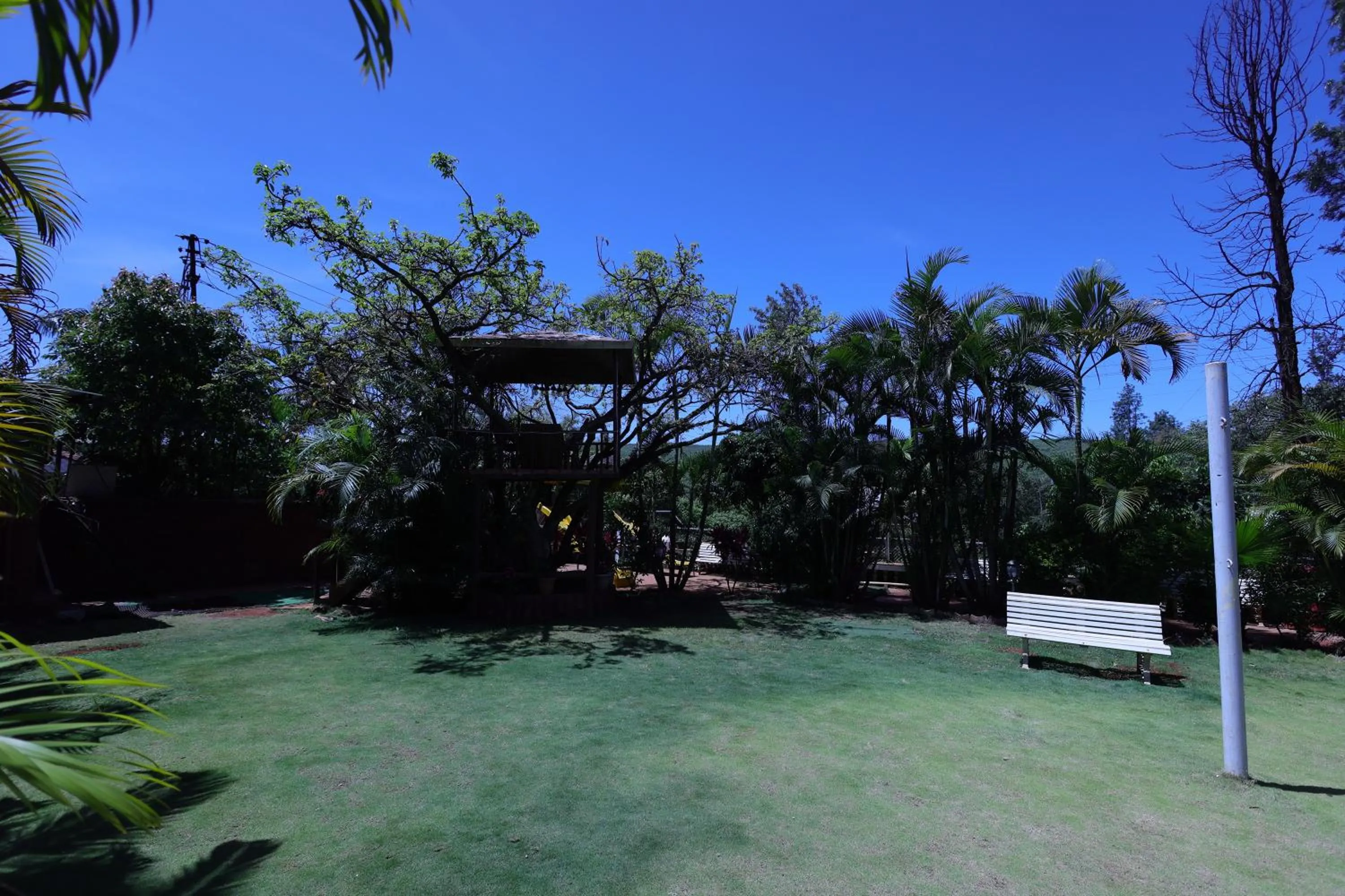 Garden view in Hotel King Garden