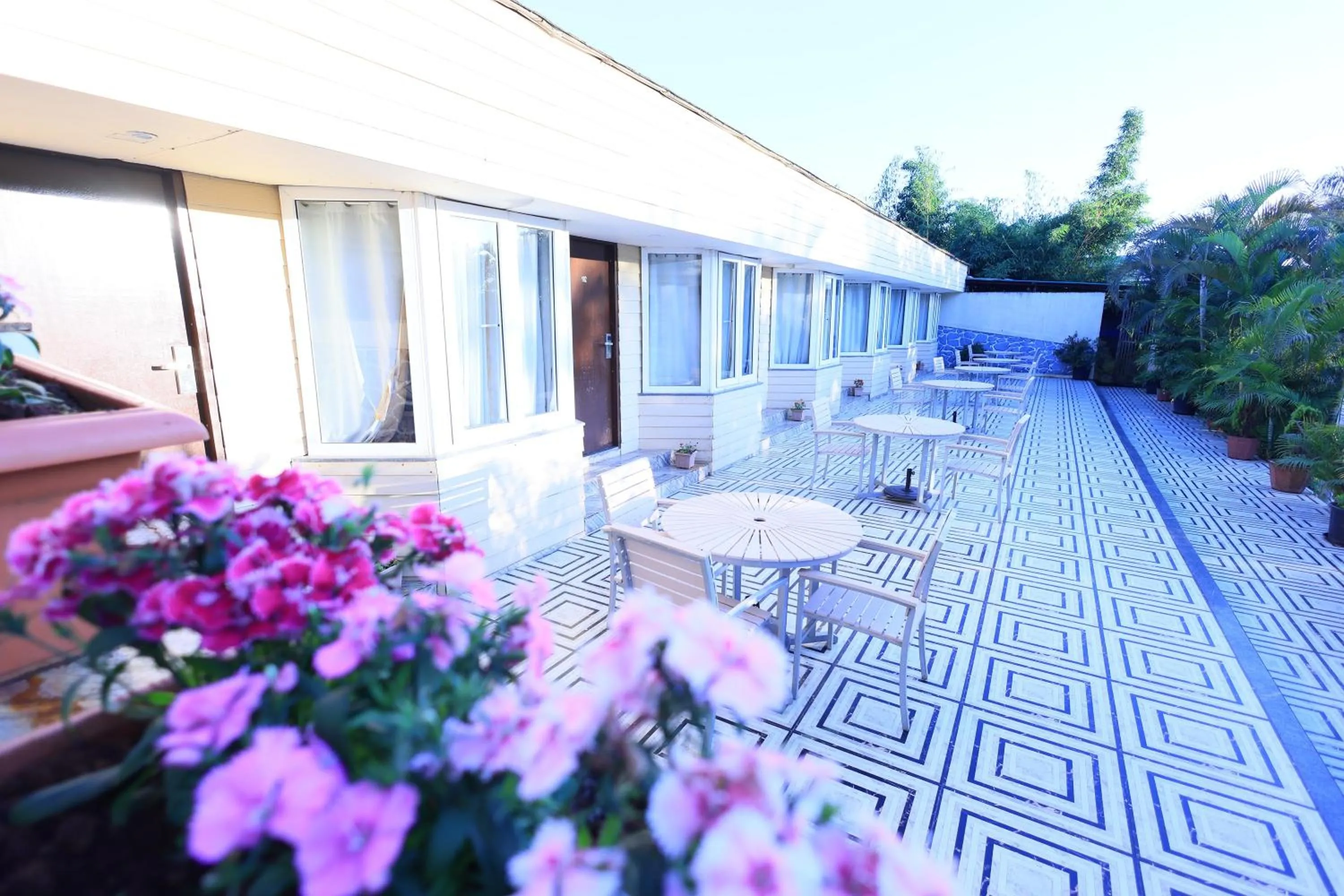 Property building in Hotel King Garden