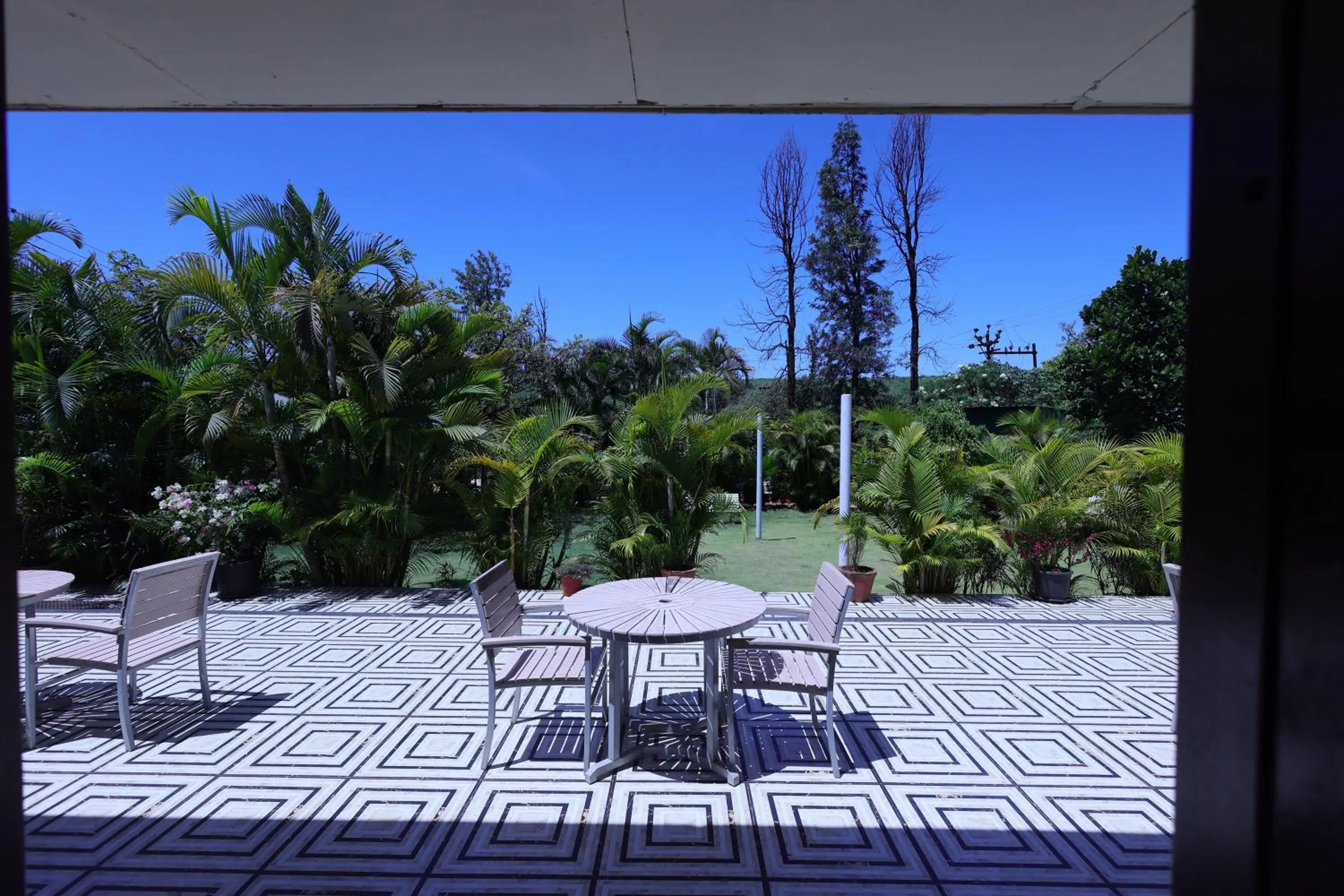 Garden view in Hotel King Garden