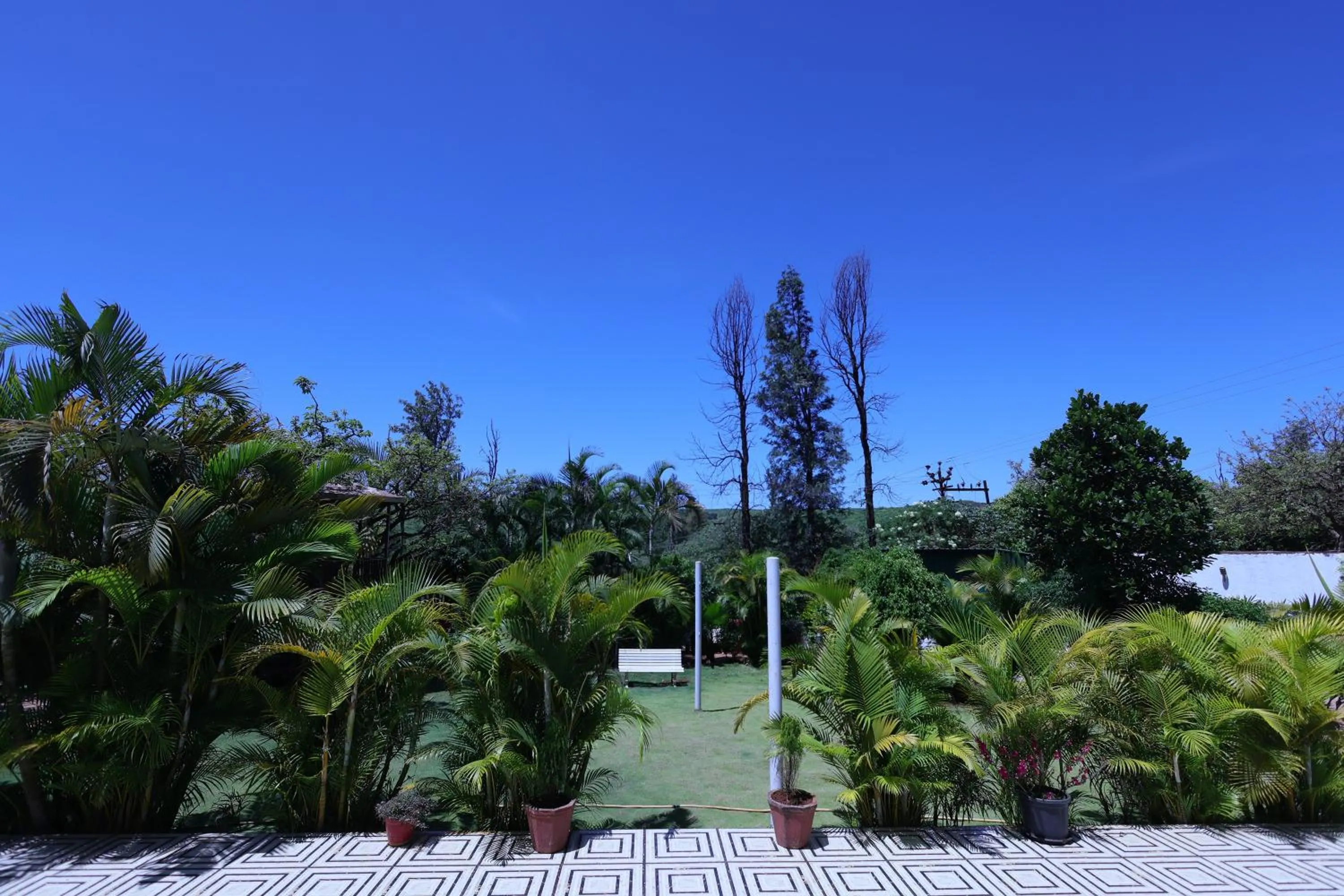 Garden view in Hotel King Garden