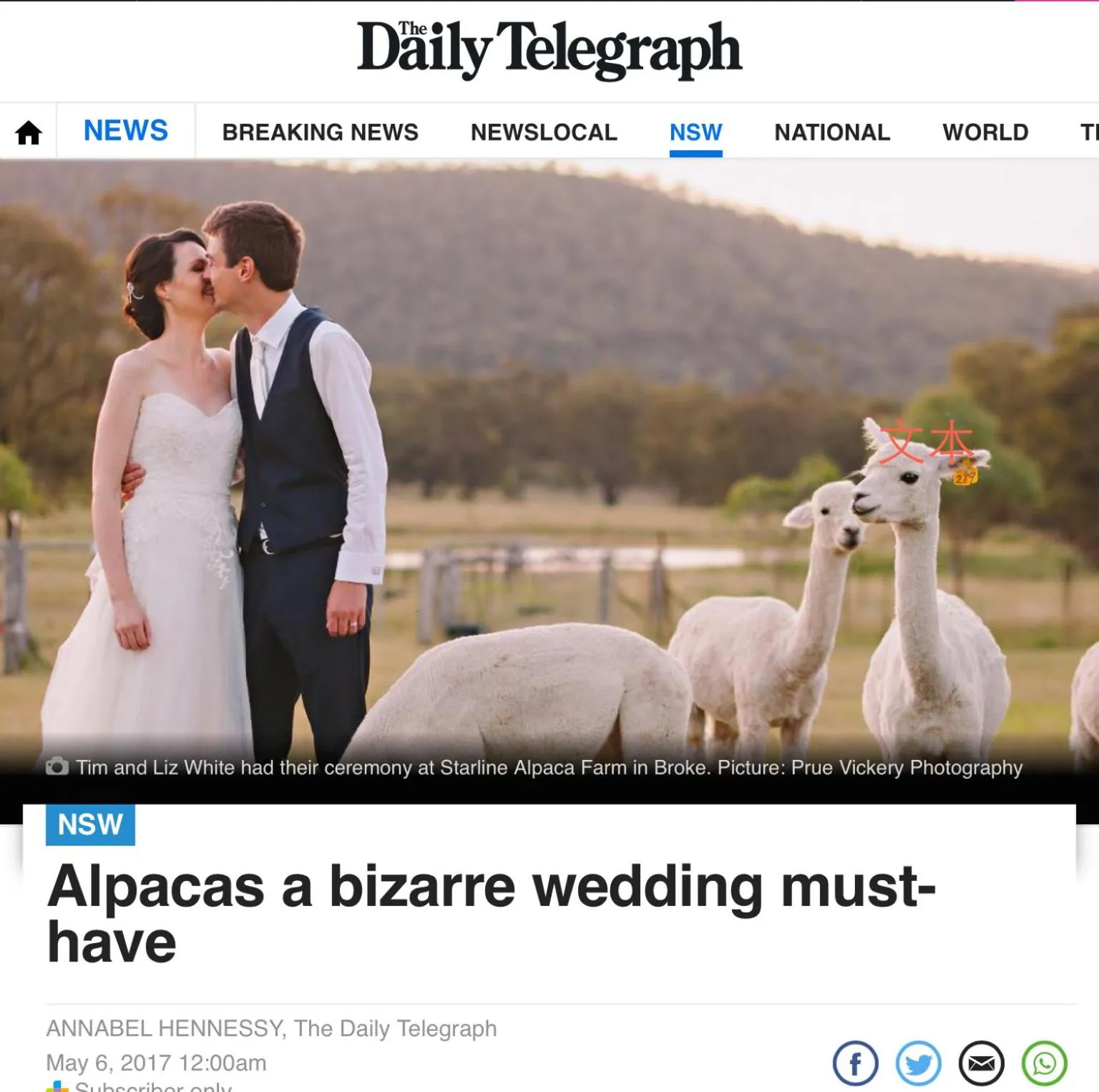 Starline Alpacas Farmstay Resort