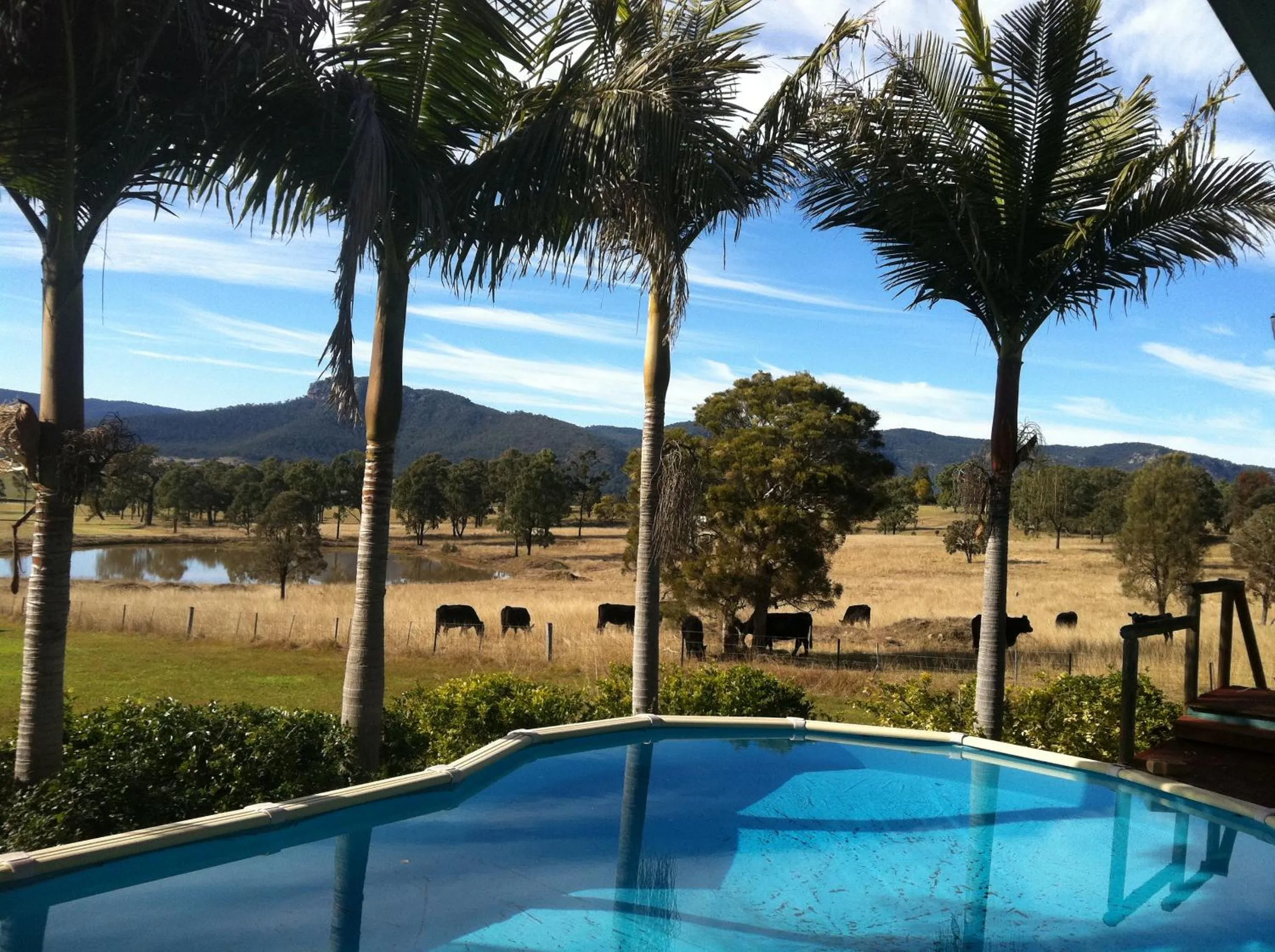 Day in Starline Alpacas Farmstay Resort