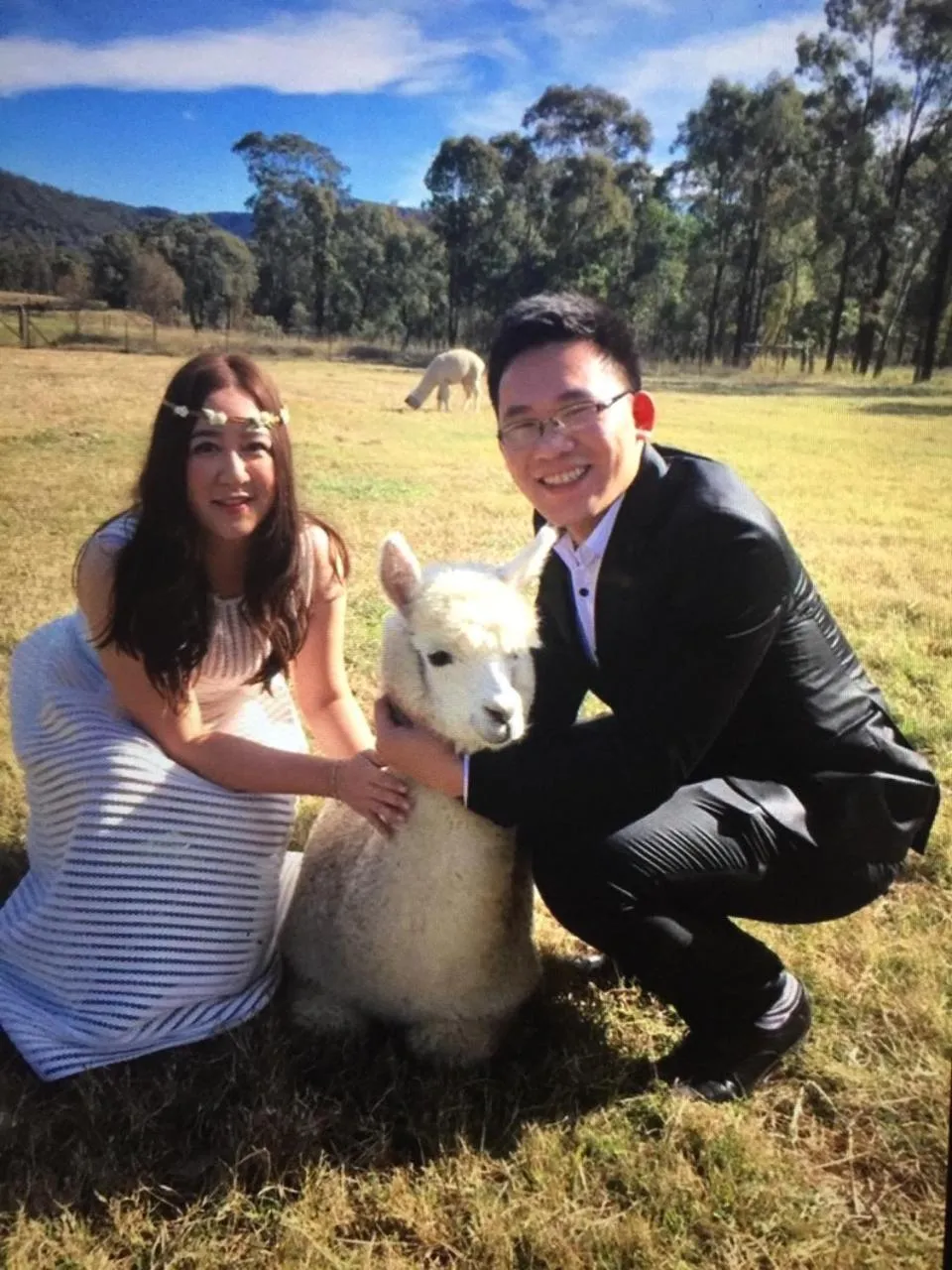 Day in Starline Alpacas Farmstay Resort