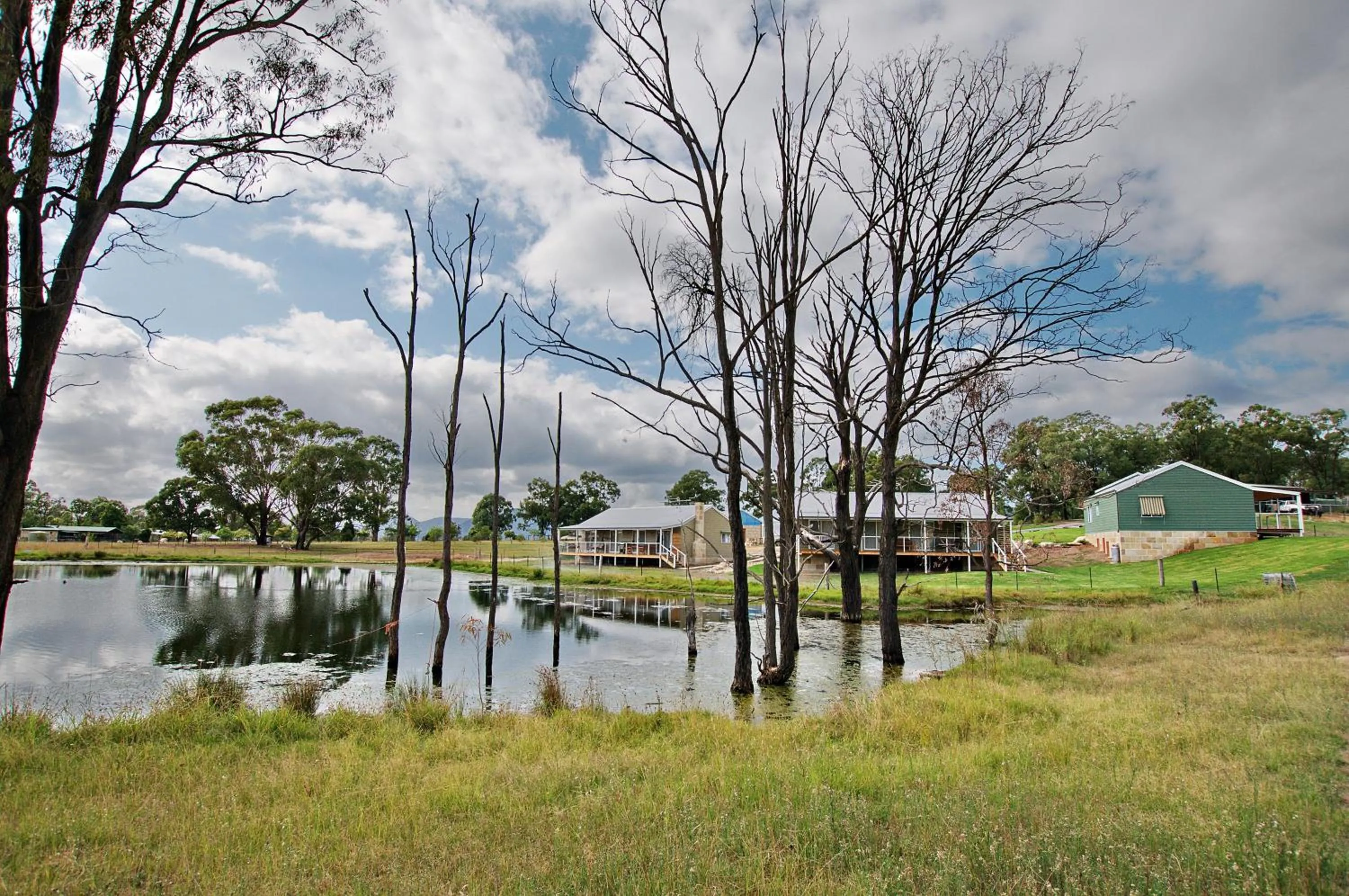Garden in Starline Alpacas Farmstay Resort