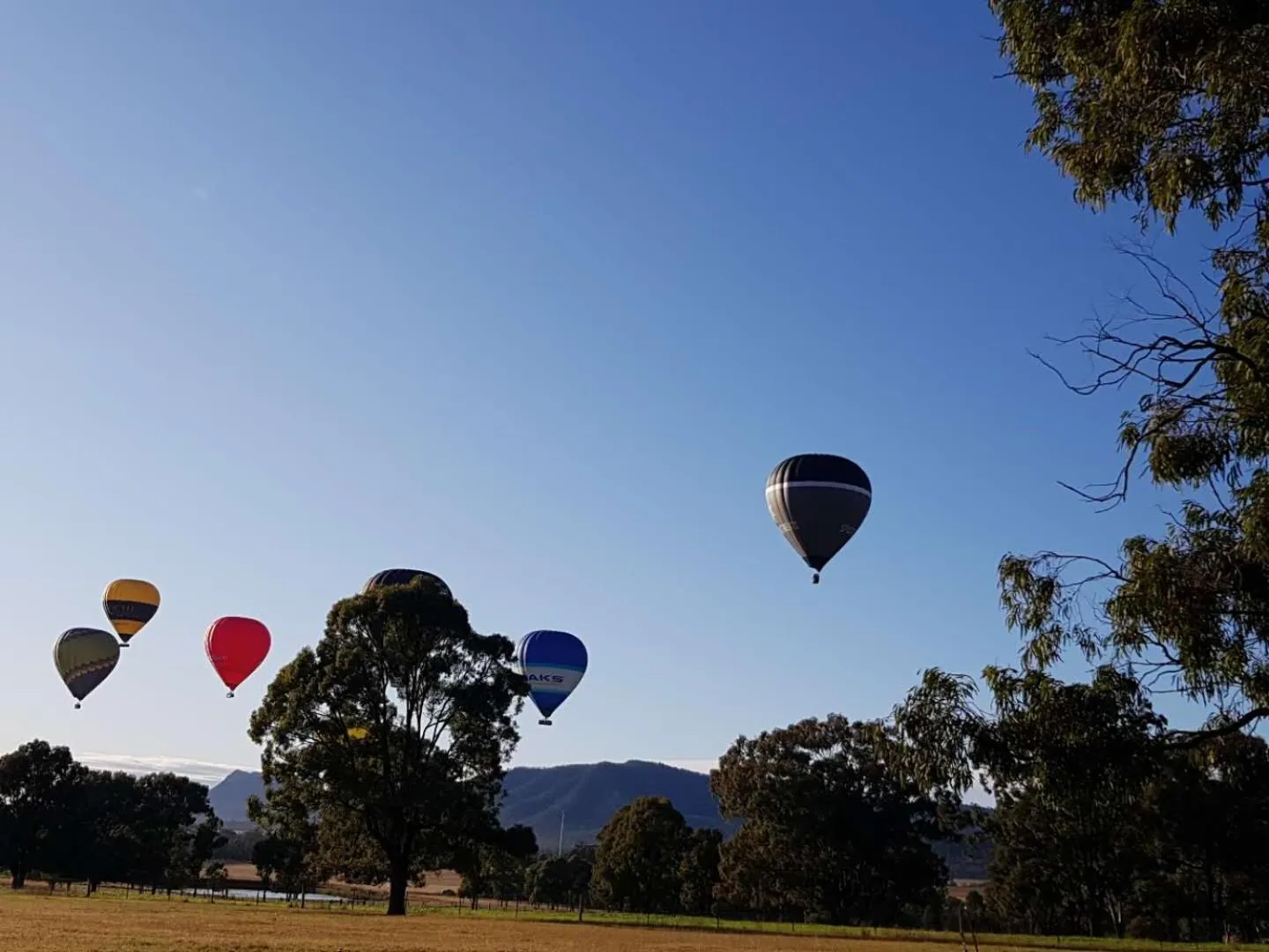 Landmark view in Starline Alpacas Farmstay Resort