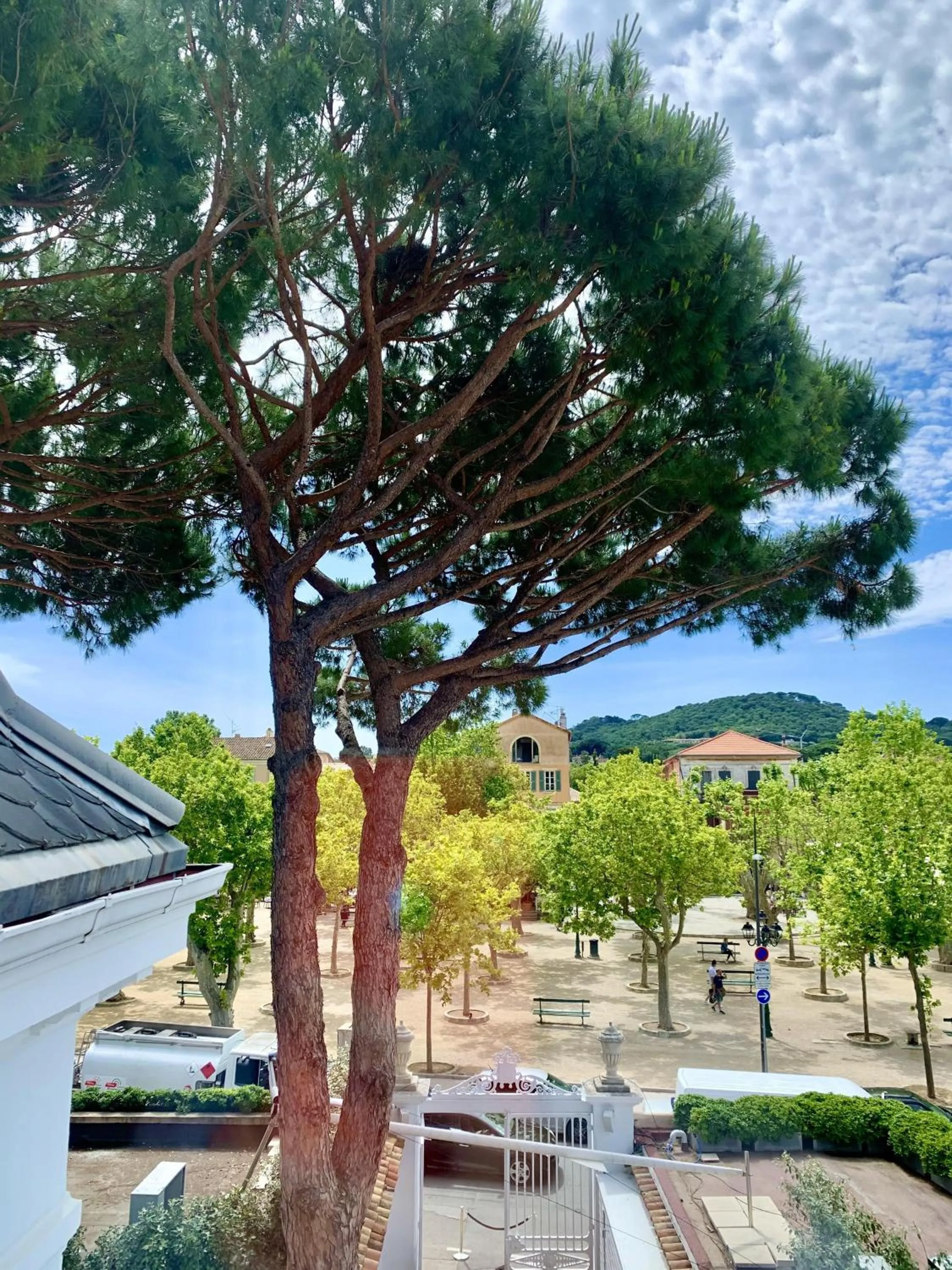 View (from property/room) in White 1921