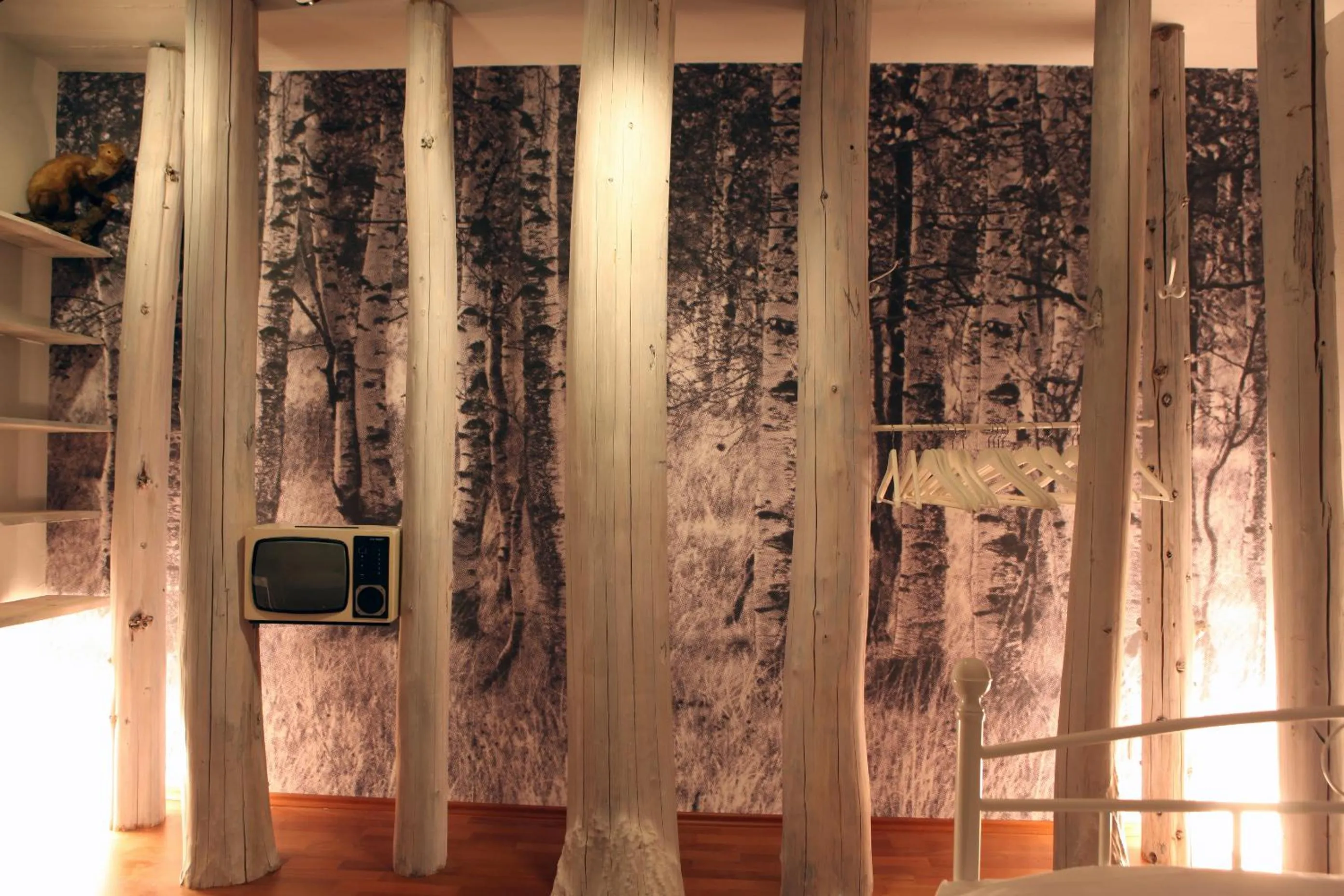 Photo of the whole room in Hostel die Wohngemeinschaft