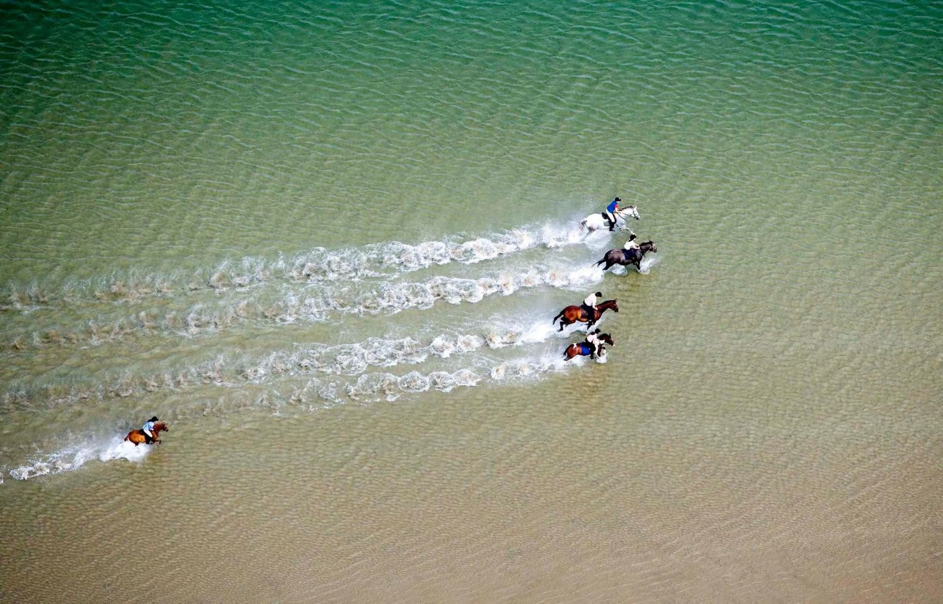 Horse-riding in Westport Woods Hotel & Spa