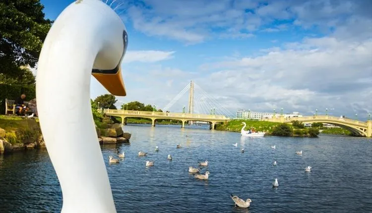 Activities in Beach House 3 Bed Penthouse Apartment