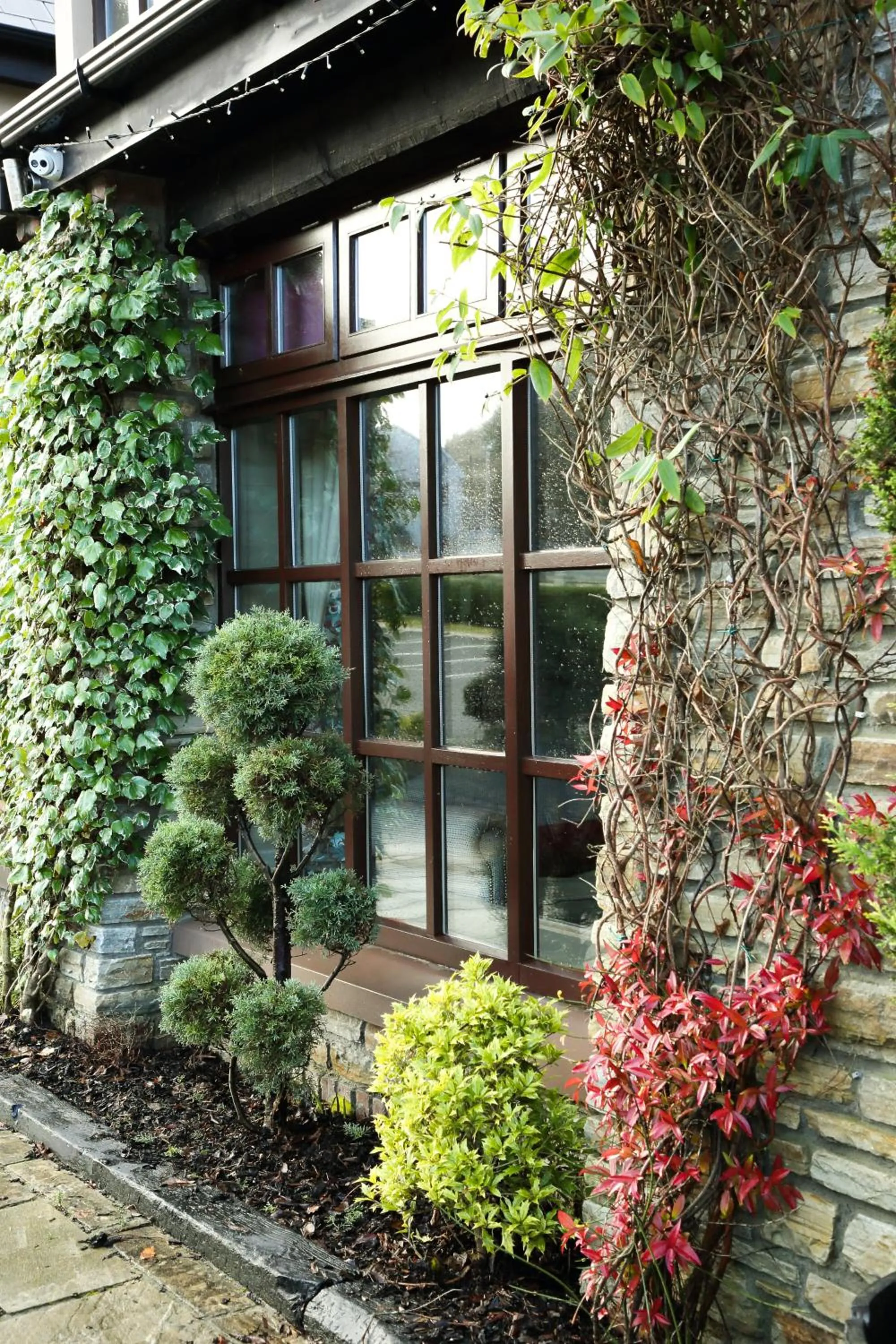 Property building in Mulroy Woods Hotel