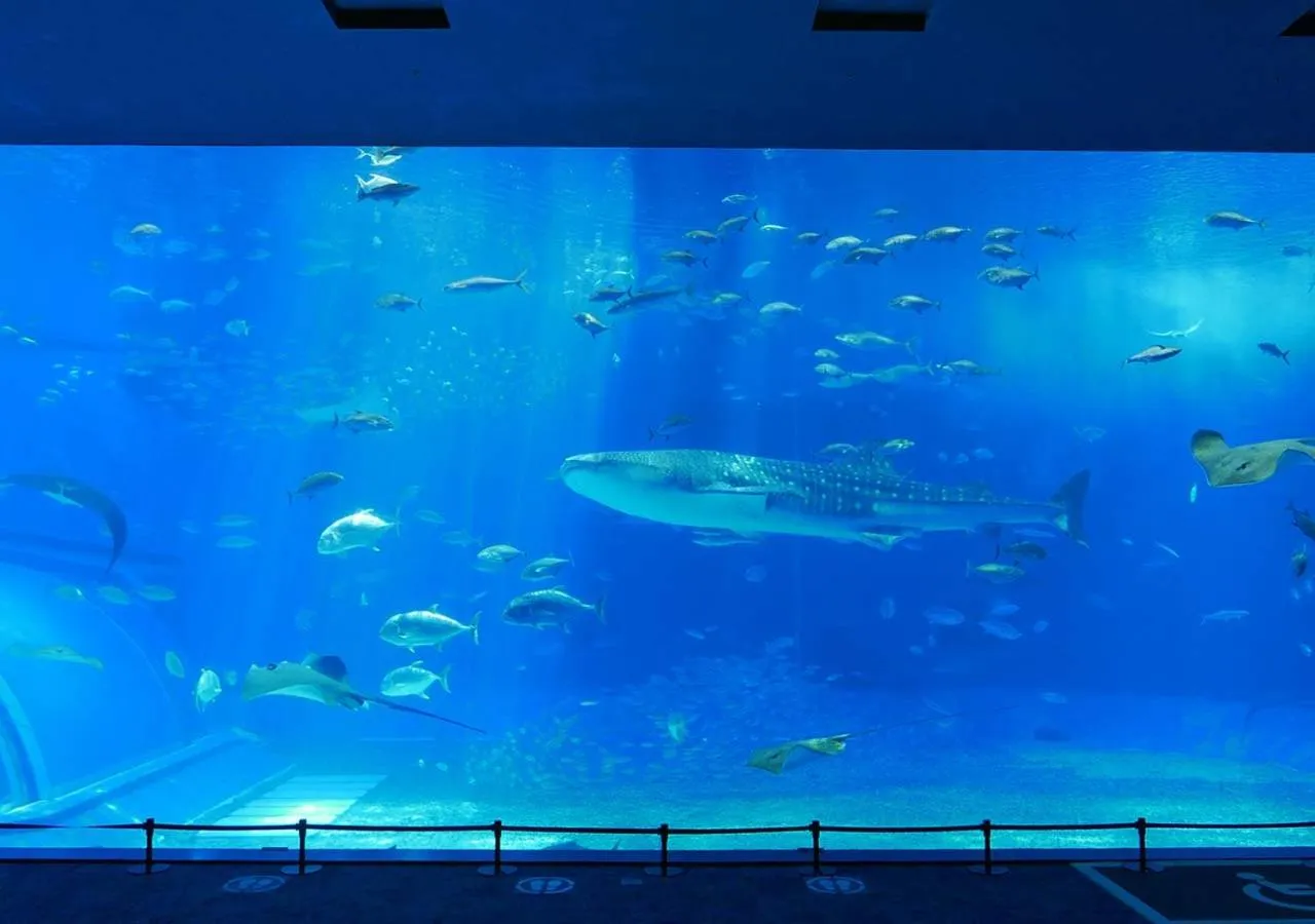 Nearby landmark in Hotel Mahaina Wellness Resorts Okinawa