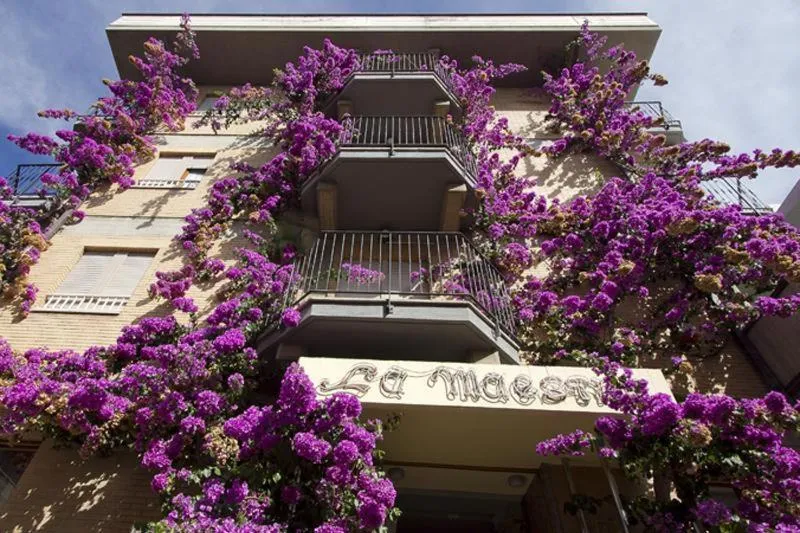 Facade/entrance in Hotel La Maestra