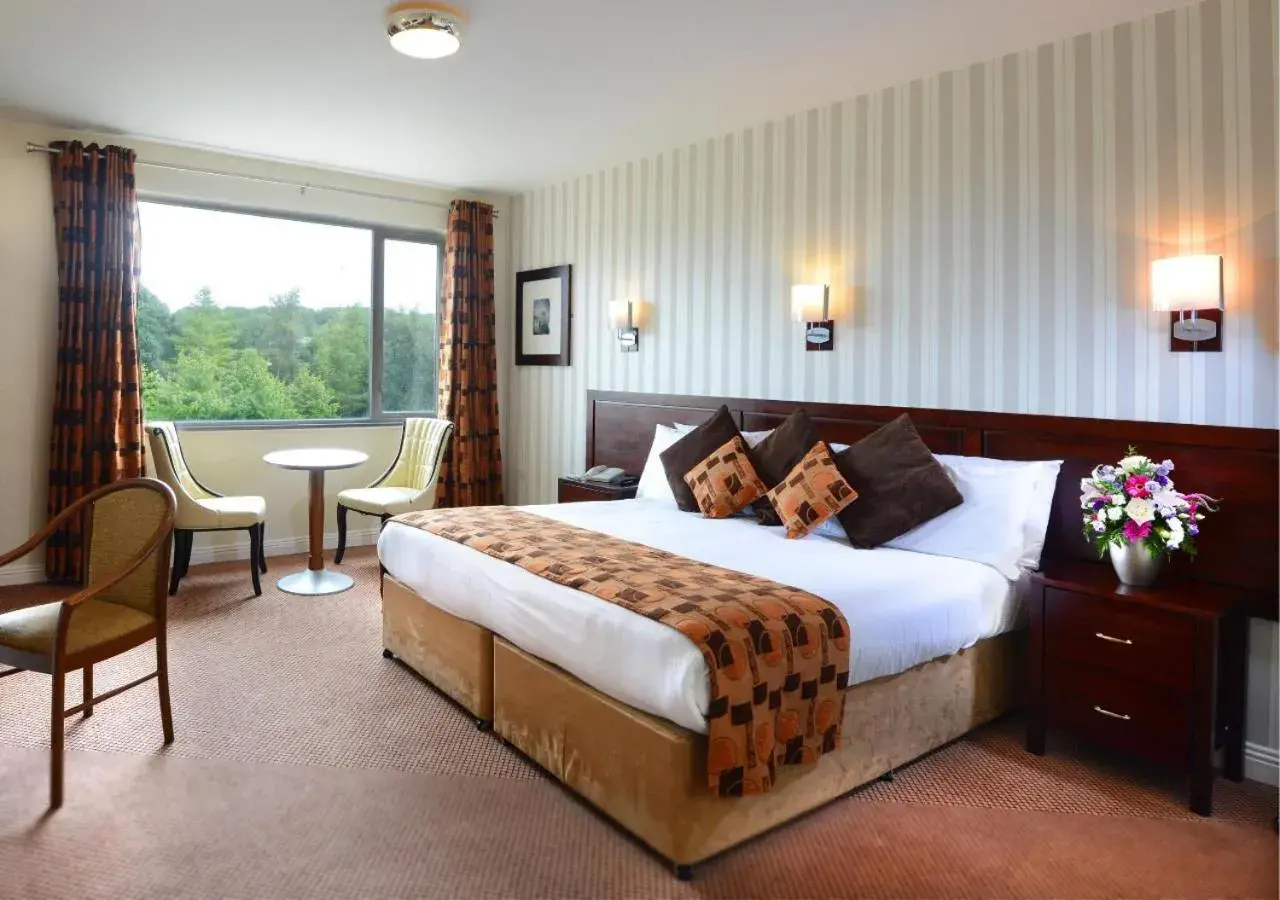 Double Room in Kiltimagh Park Hotel Double Room in Kiltimagh Park Hotel