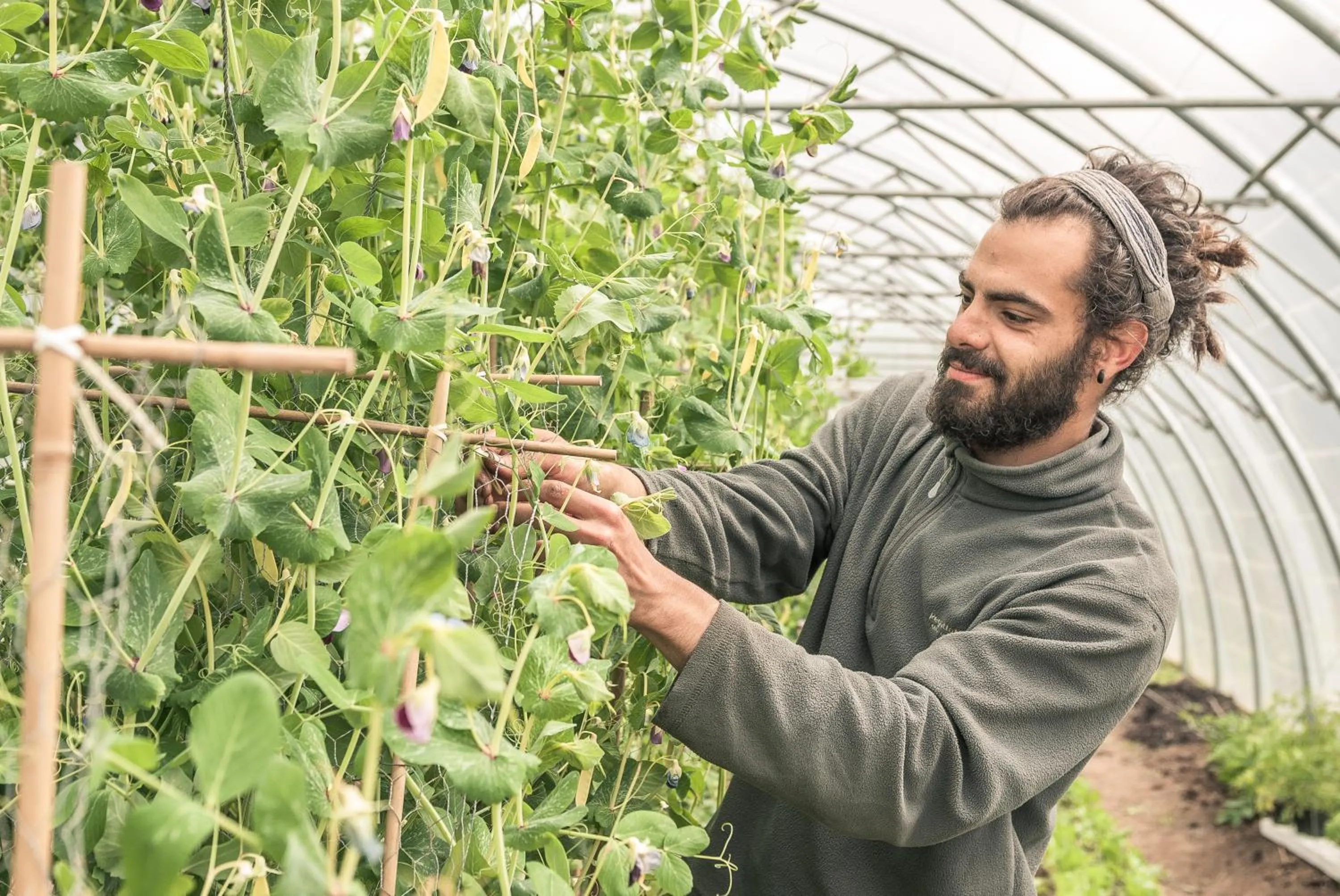 Staff in Mount Falcon Estate