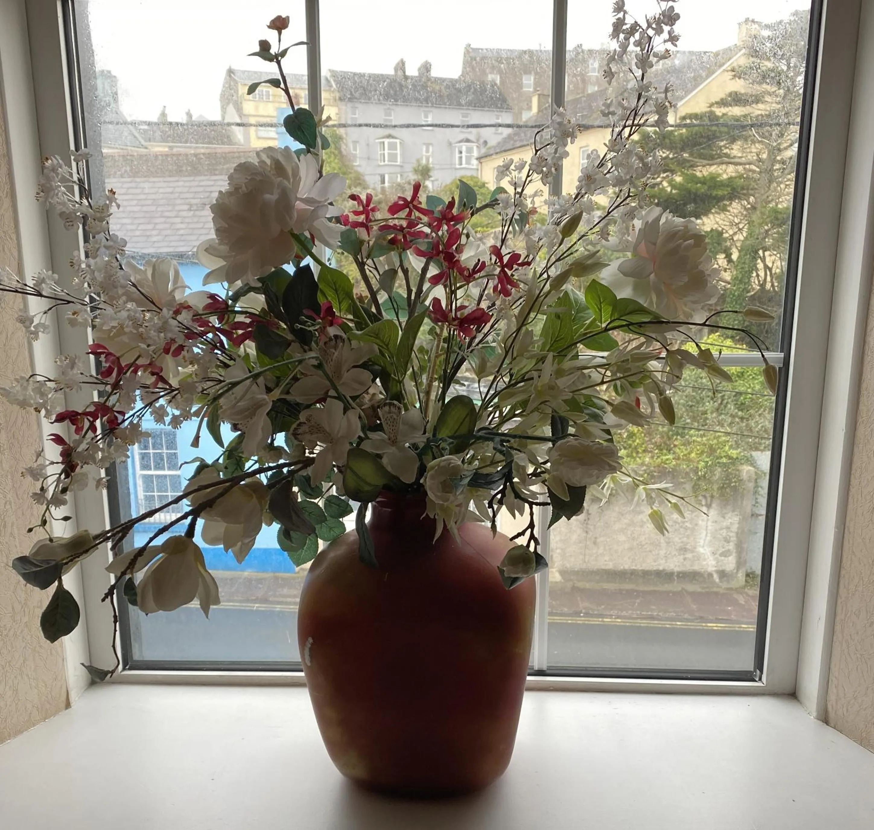 Garden in O'Shea's Hotel