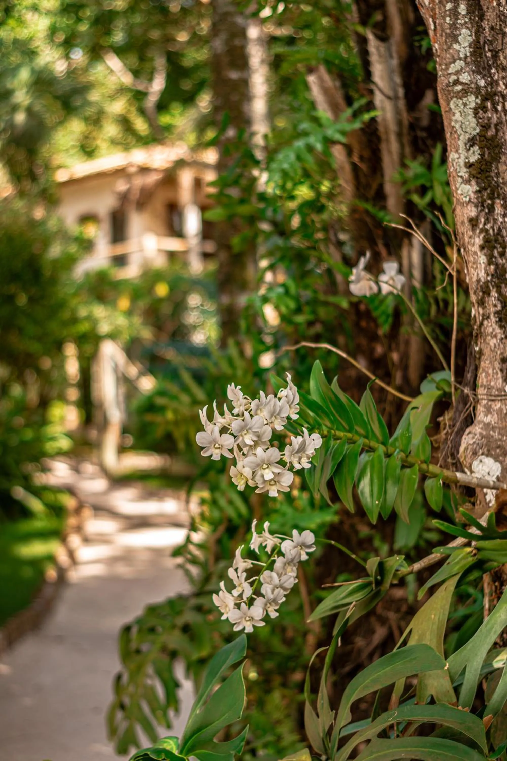 Day in Hotel Boutique Bahia Bonita