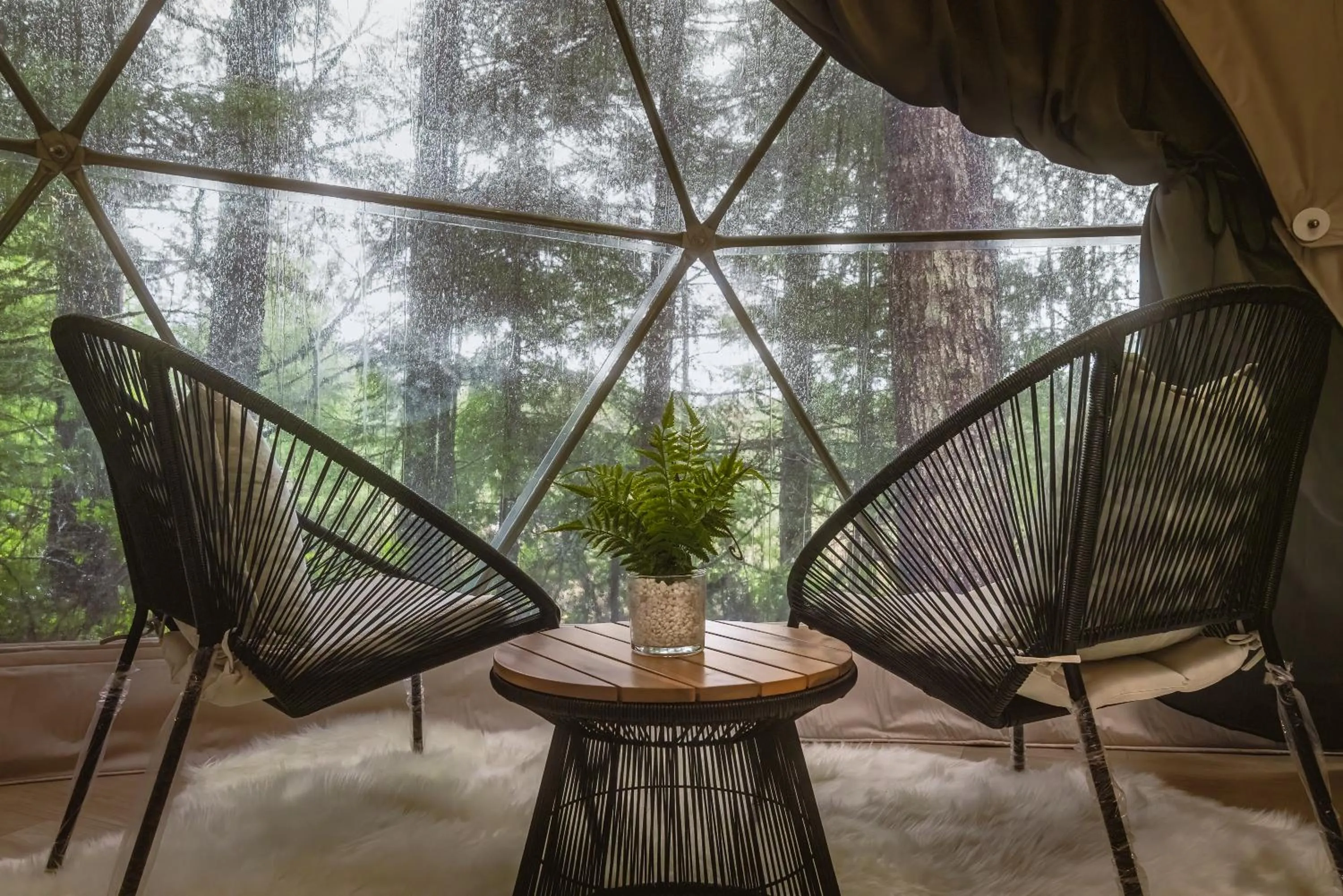 View (from property/room) in West Coast Trail Lodge