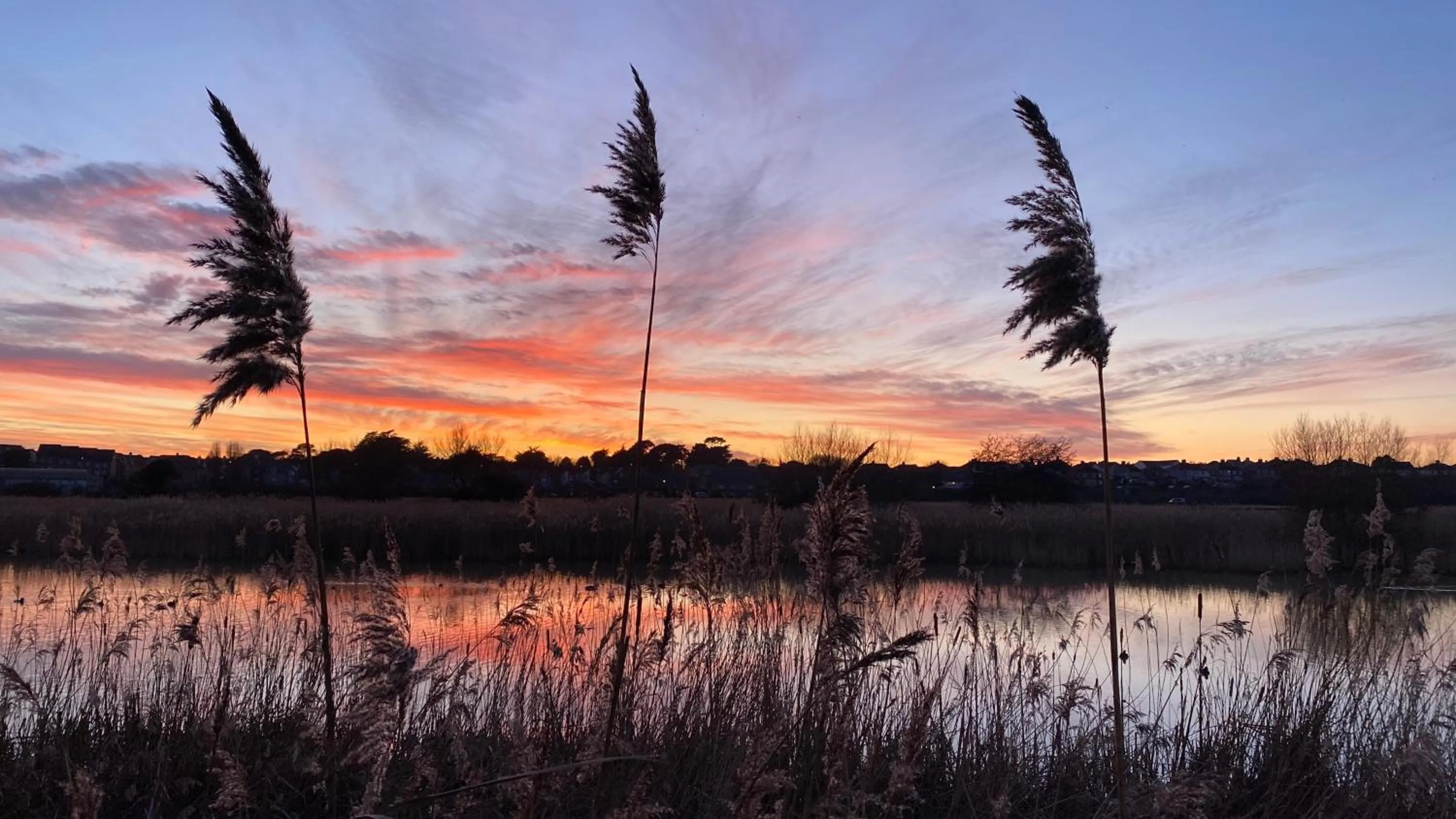 Natural landscape in Alexandra Hotel