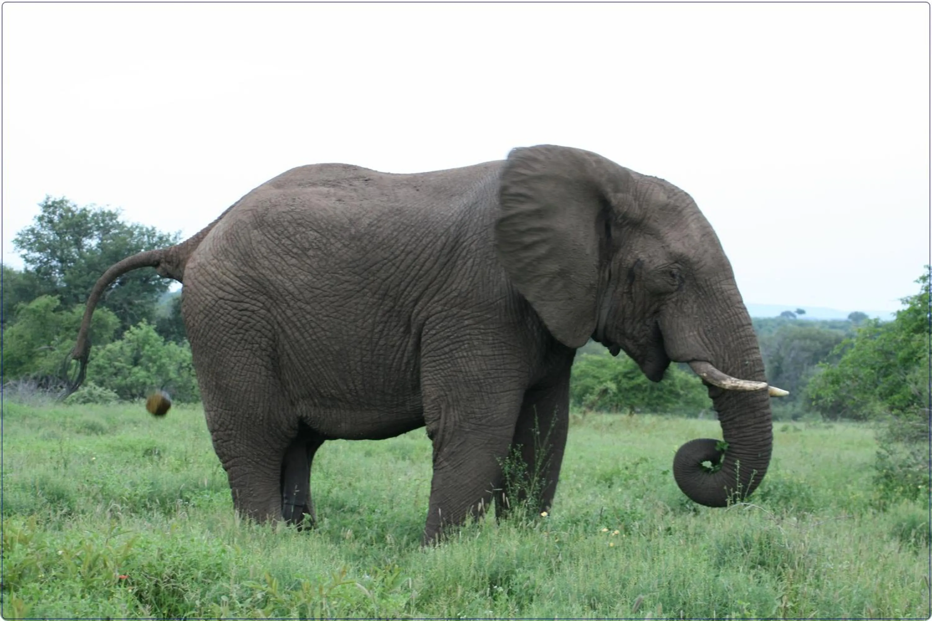 Area and facilities in Needles Lodge